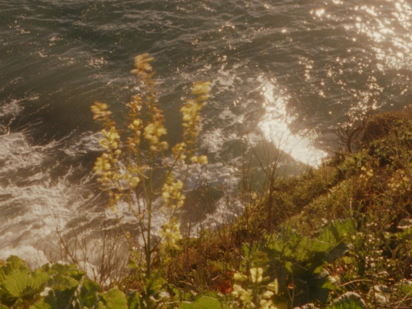 Sequence 02.00_16_15_21.Still014.jpg