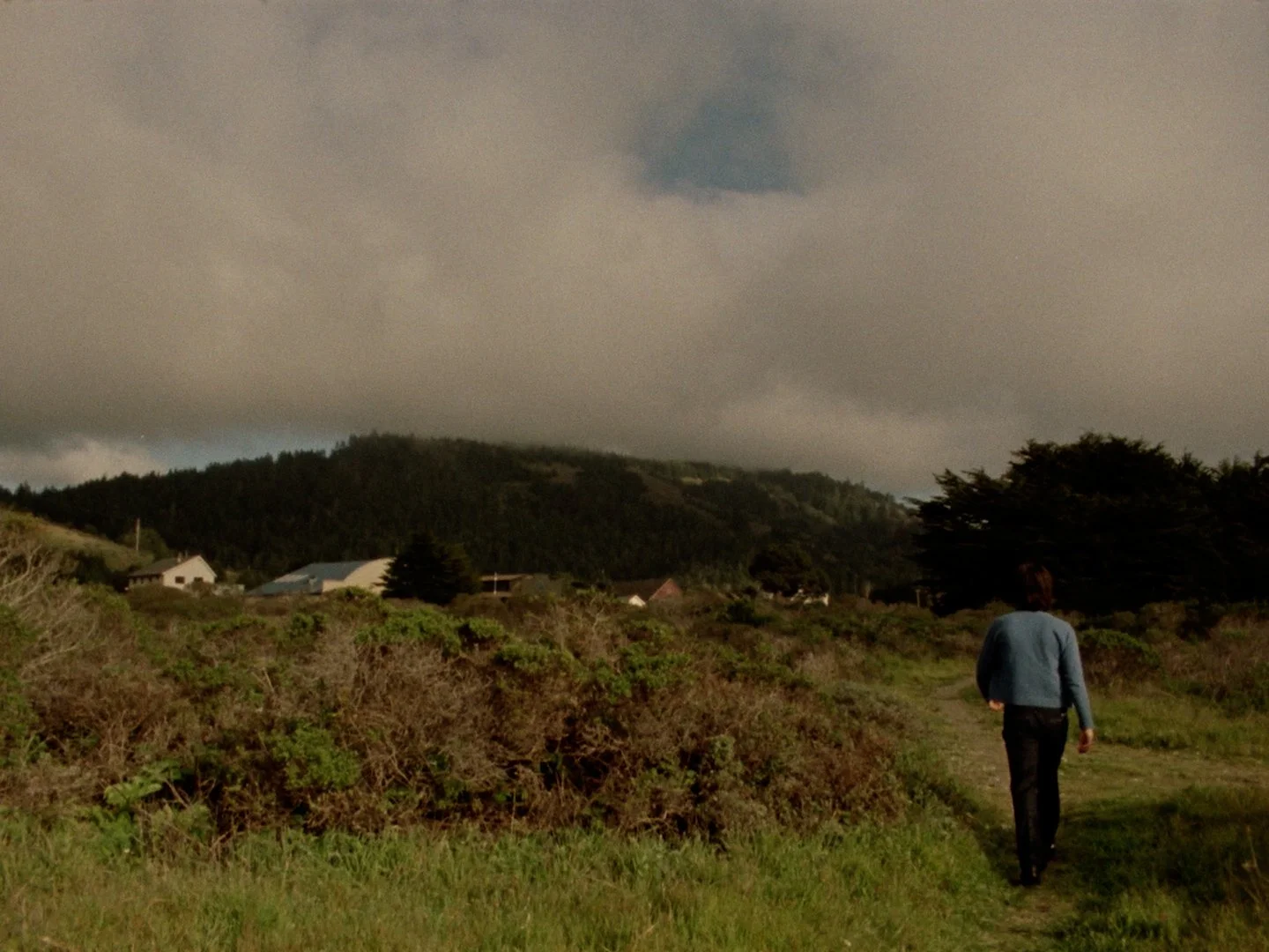 Sequence 02.00_15_58_09.Still004.jpg