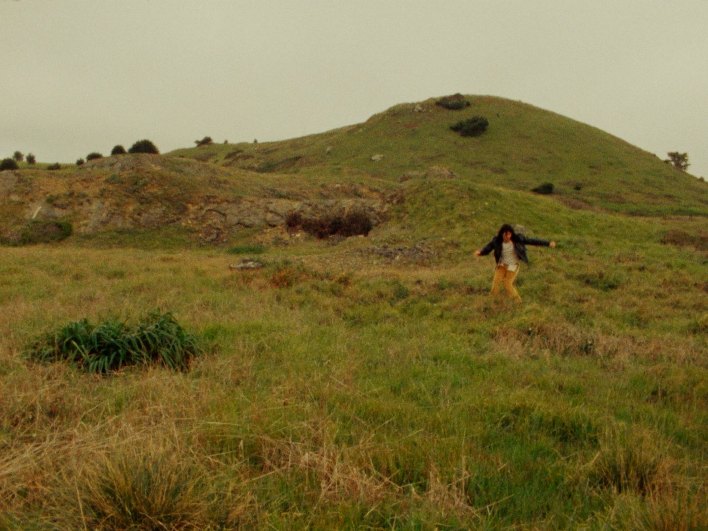 Sequence 02.00_18_12_05.Still054.jpg