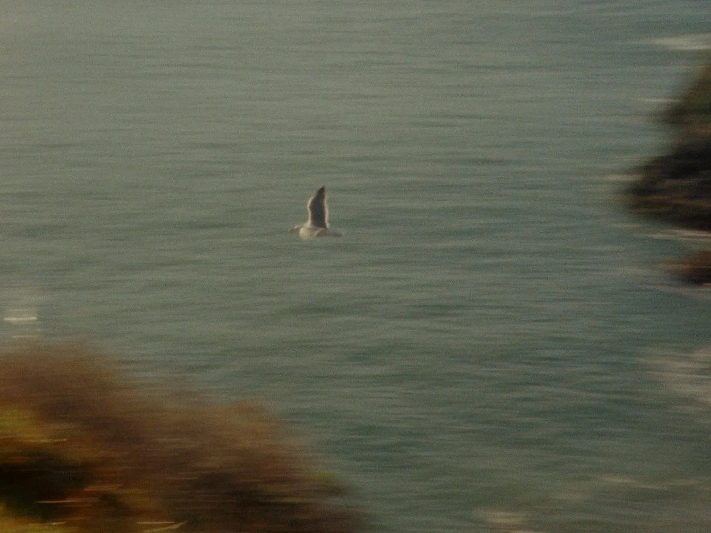 Sequence 02.00_17_10_23.Still031.jpg