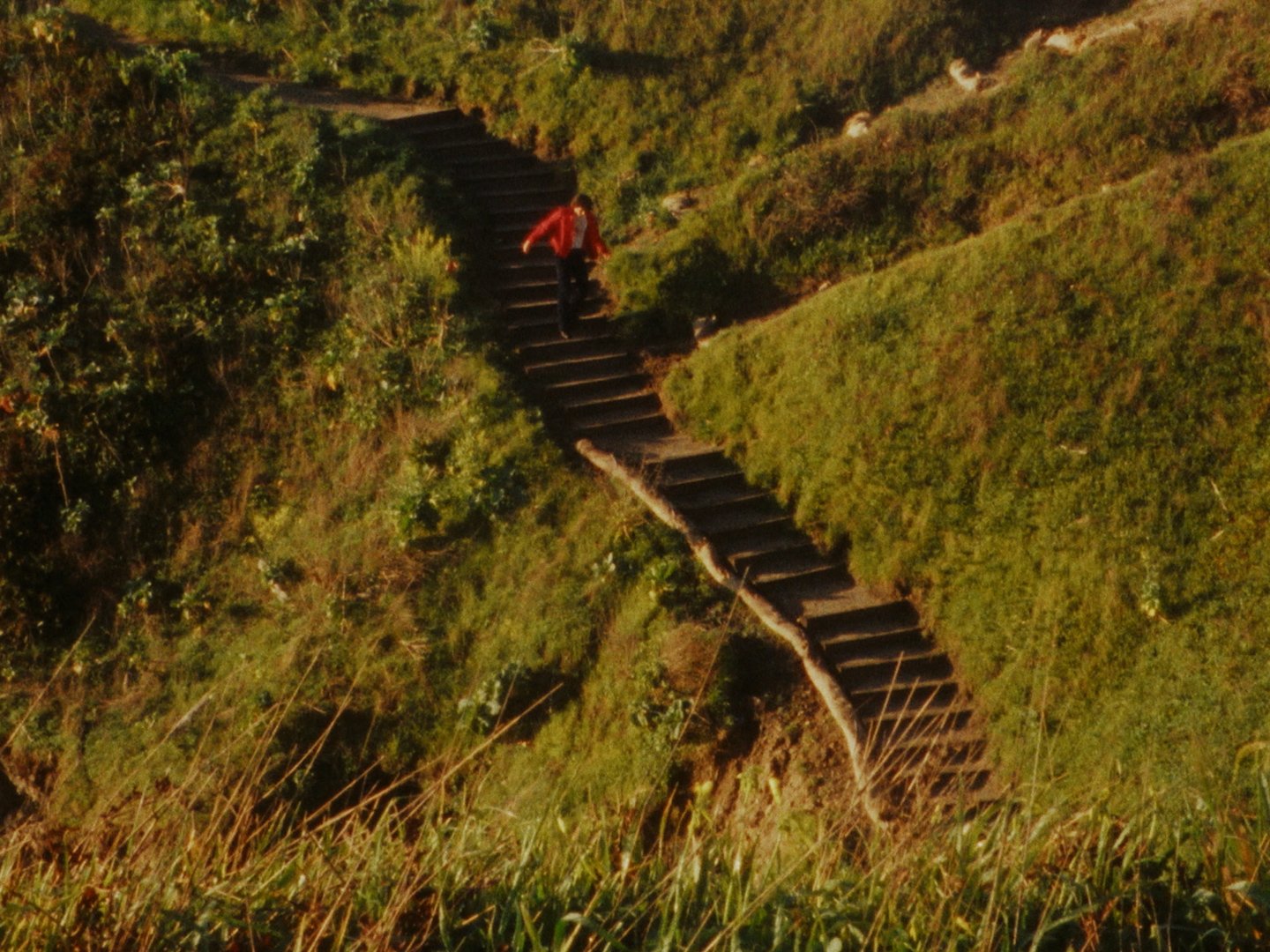 Sequence 02.00_16_06_05.Still009.jpg