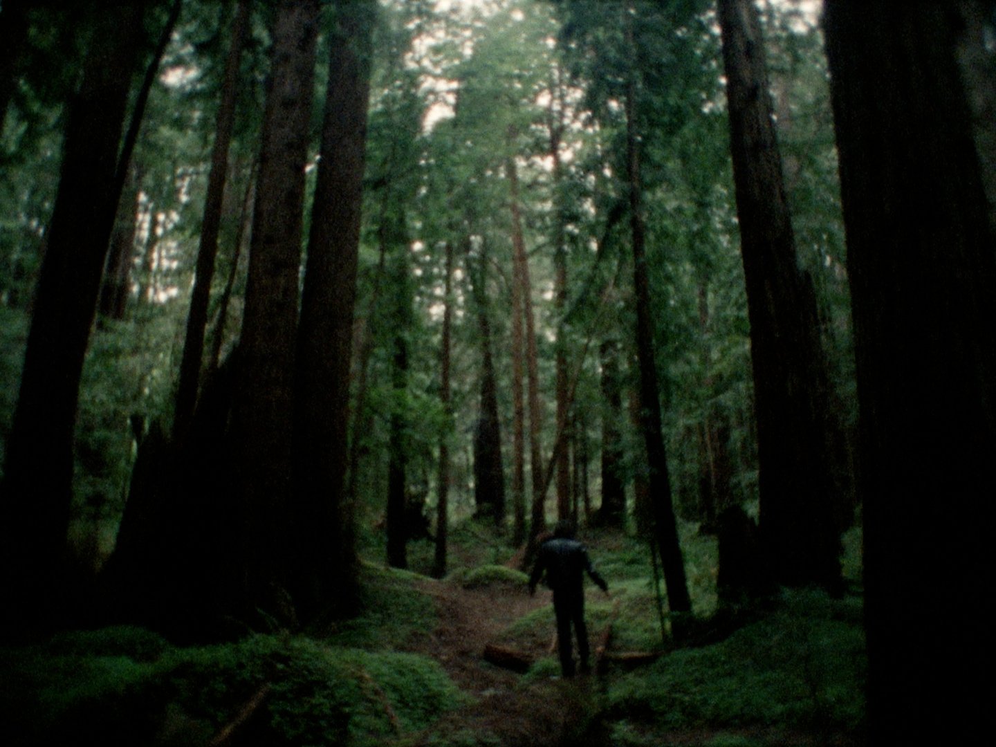 Sequence 02.00_16_43_07.Still023.jpg