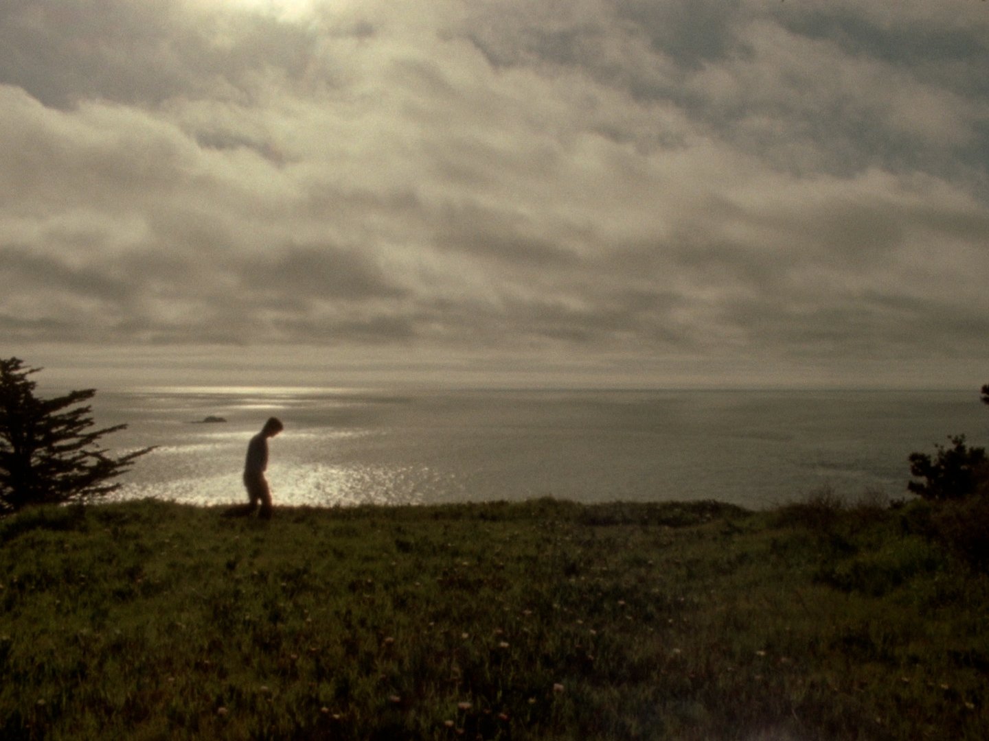 Sequence 02.00_16_02_16.Still007.jpg