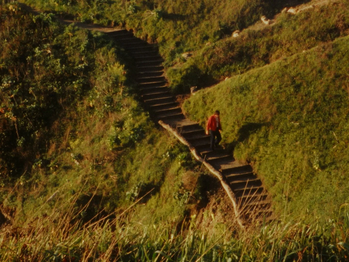 Sequence 02.00_16_13_10.Still012.jpg