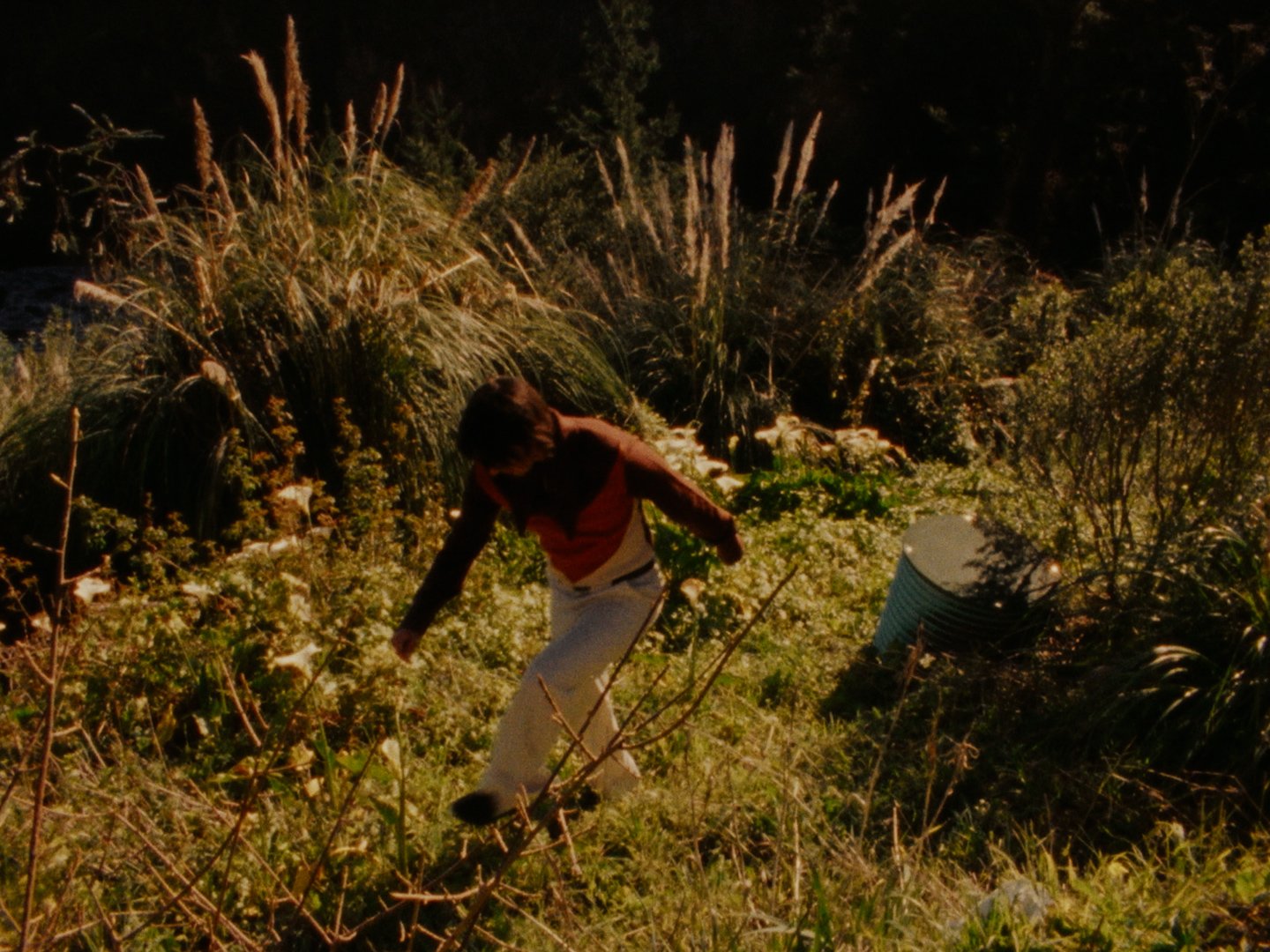 Sequence 02.00_16_48_11.Still024.jpg