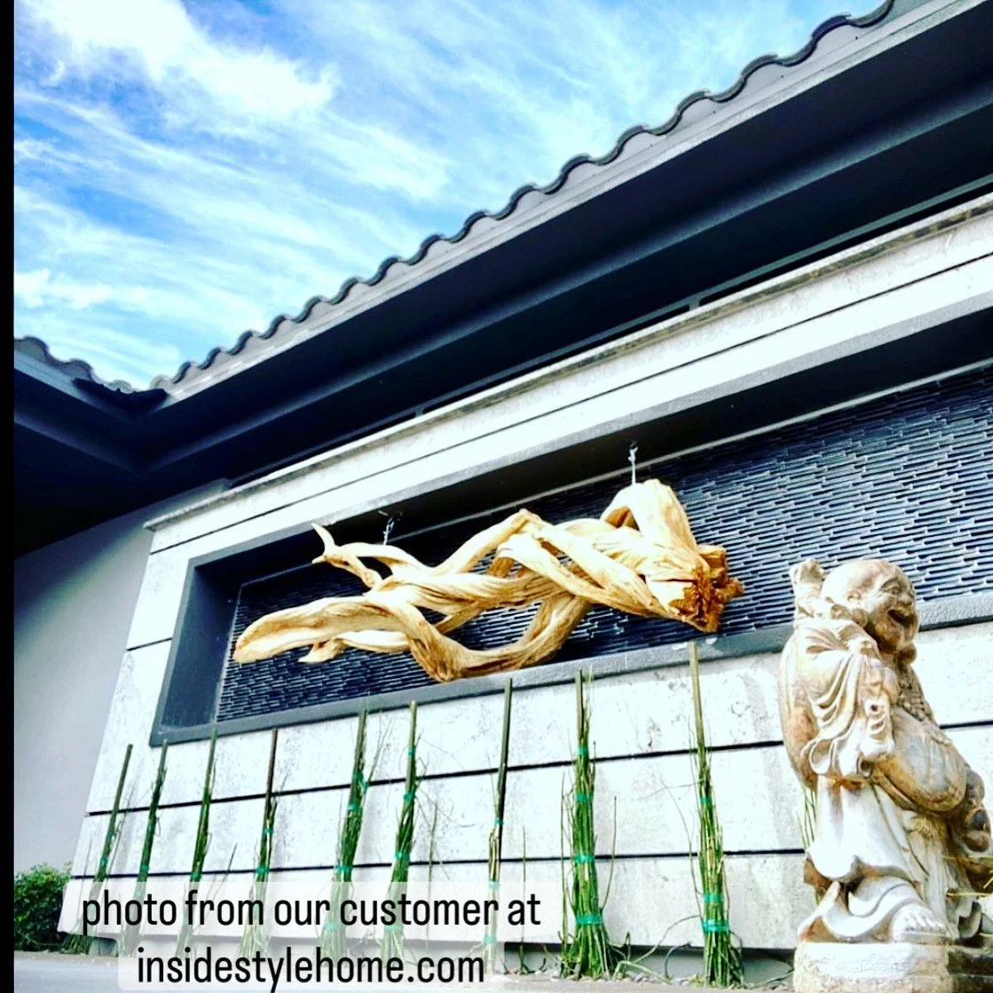 thick tropical vine mounted horizontally