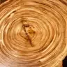beautiful natural wood grain.webp