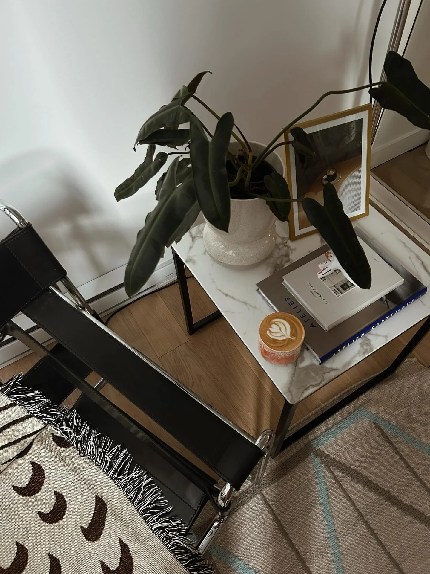 chez ma barista pref @rosetrud