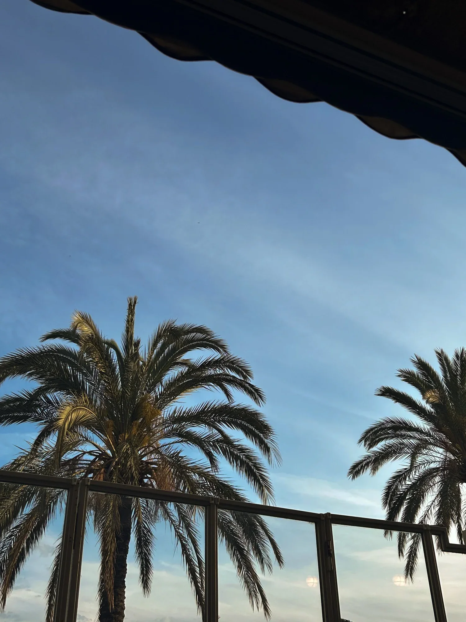 nos coups de coeur à Nice