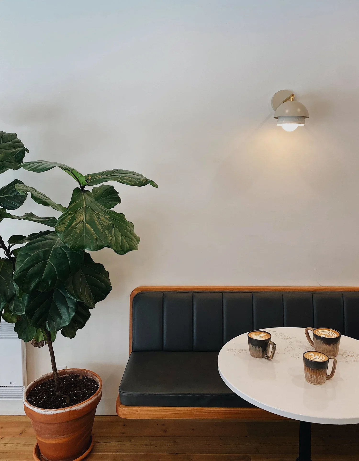 Intérieur d'un café ou d'une maison avec un canapé en bois et cuir noir, une grande plante en pot en terre cuite, et une table ronde avec trois tasses de café latte avec de la crème en forme de cœur. Mur blanc avec lampe murale.