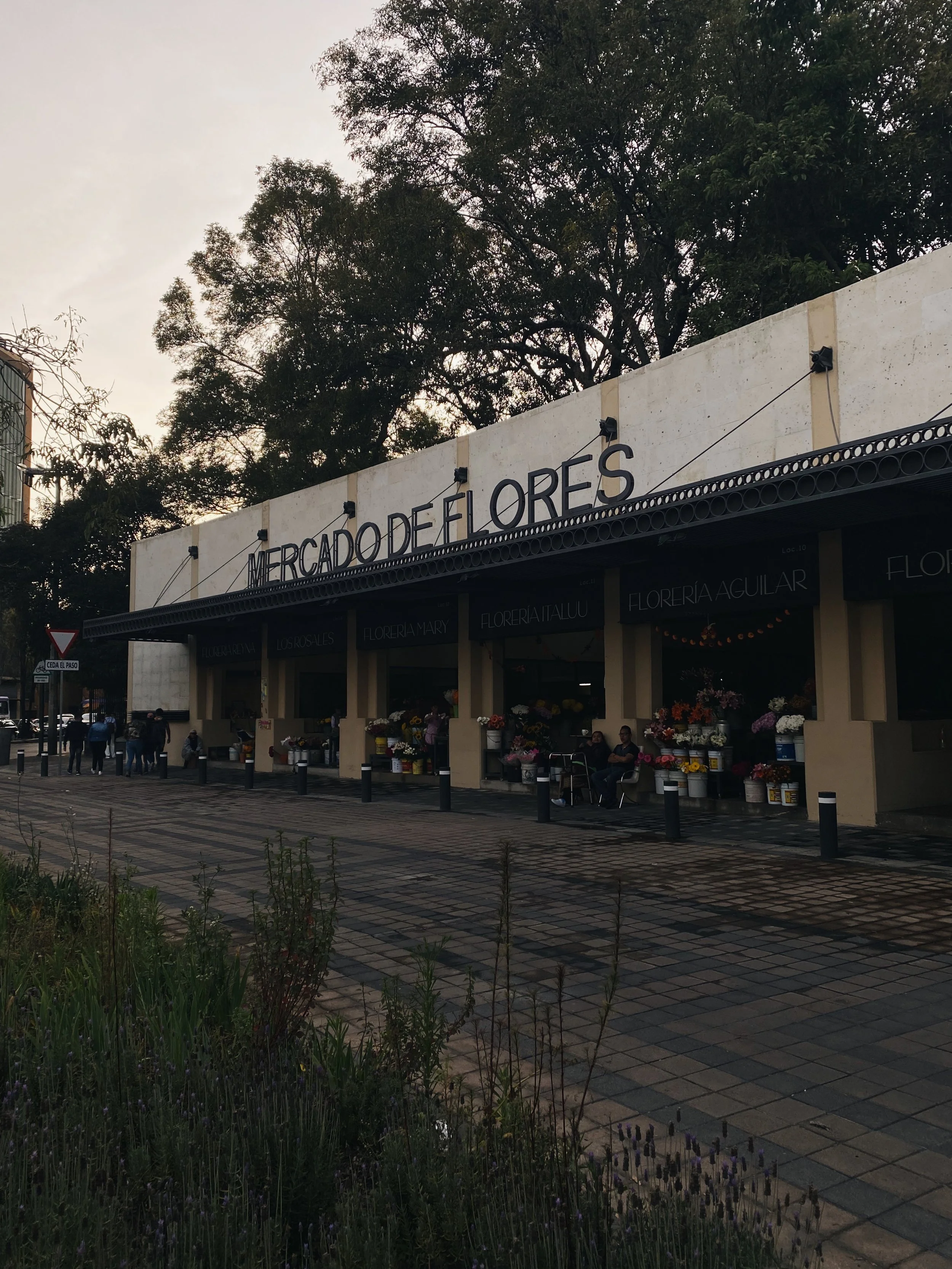 C9C98A00-7CA6-42C4-926D-A77EE5C496B4 2.JPG