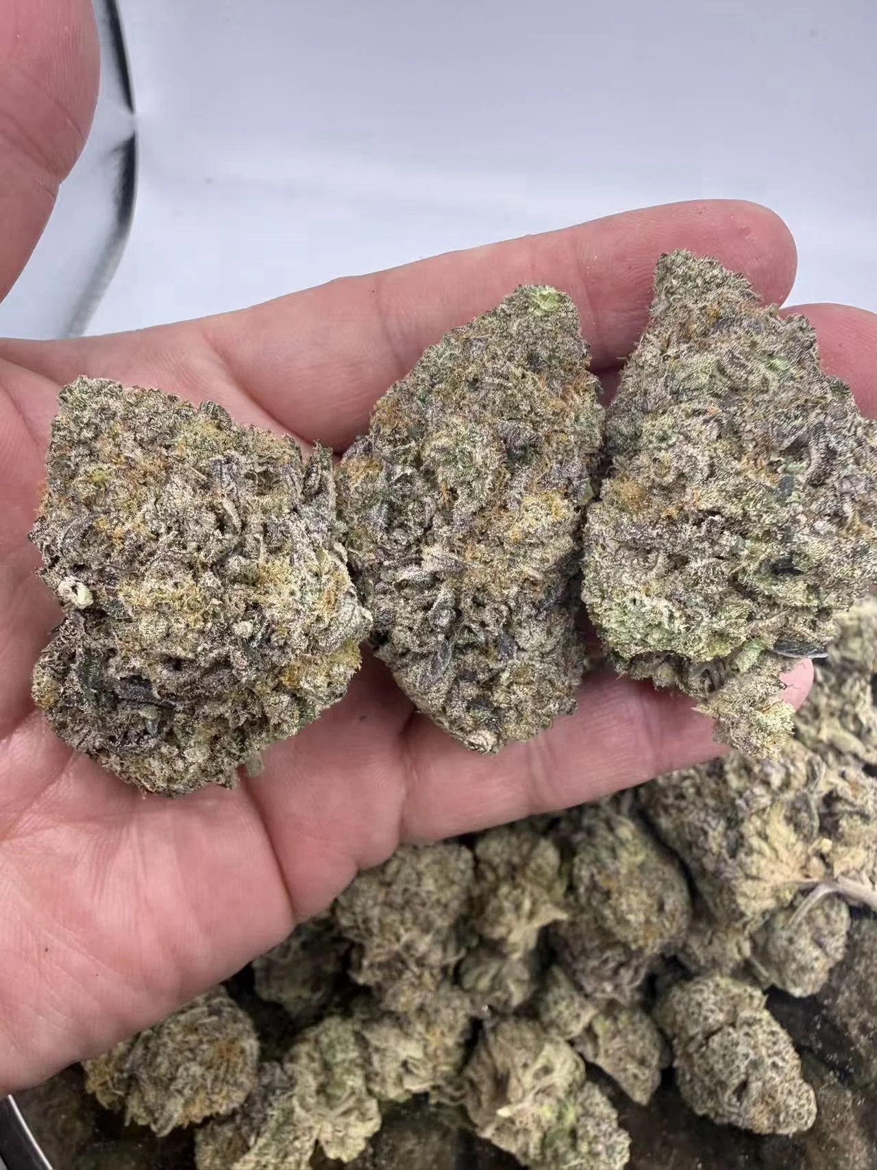 Runtz 14g-$70, 1oz- $125