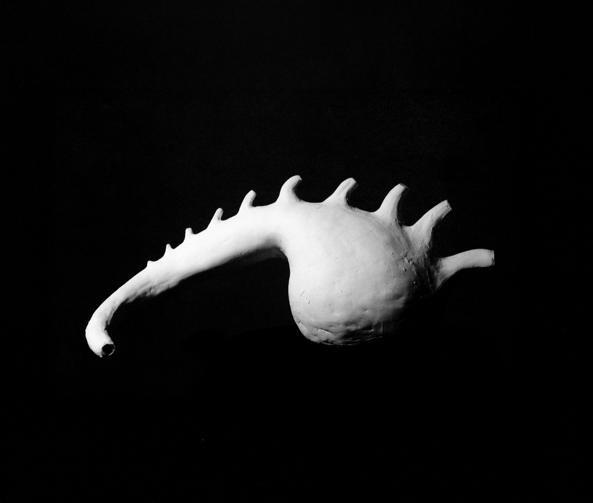 img20240909_12074018.jpg