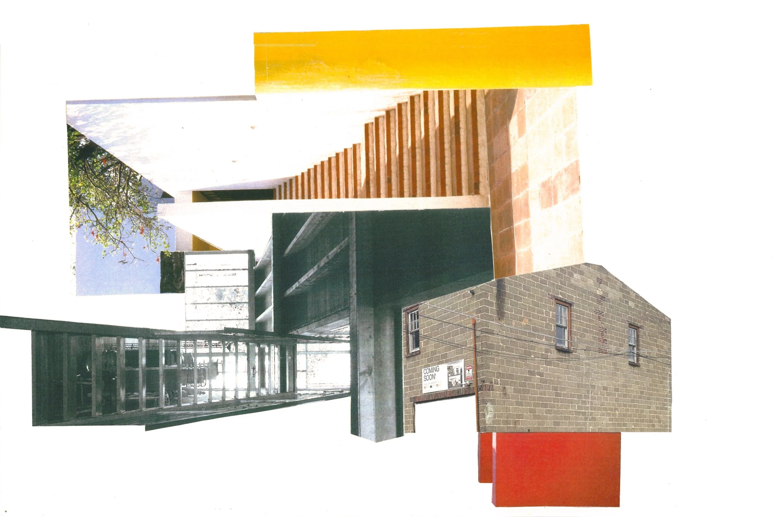 collage 1.jpg