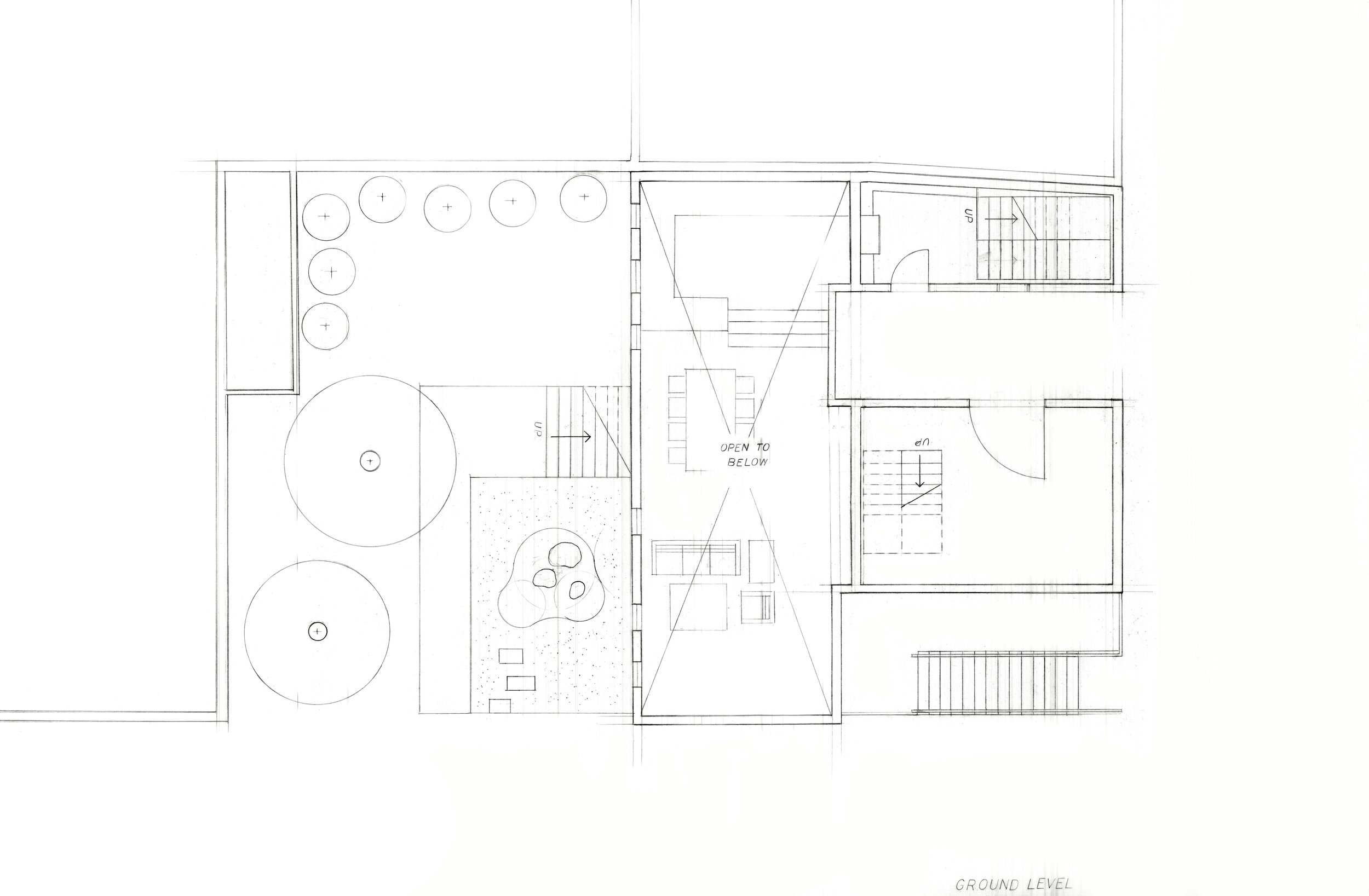 segal_ground_level_final-edit (1).jpg