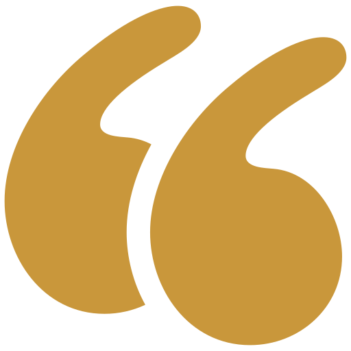 A large, gold stylized quote mark symbol.