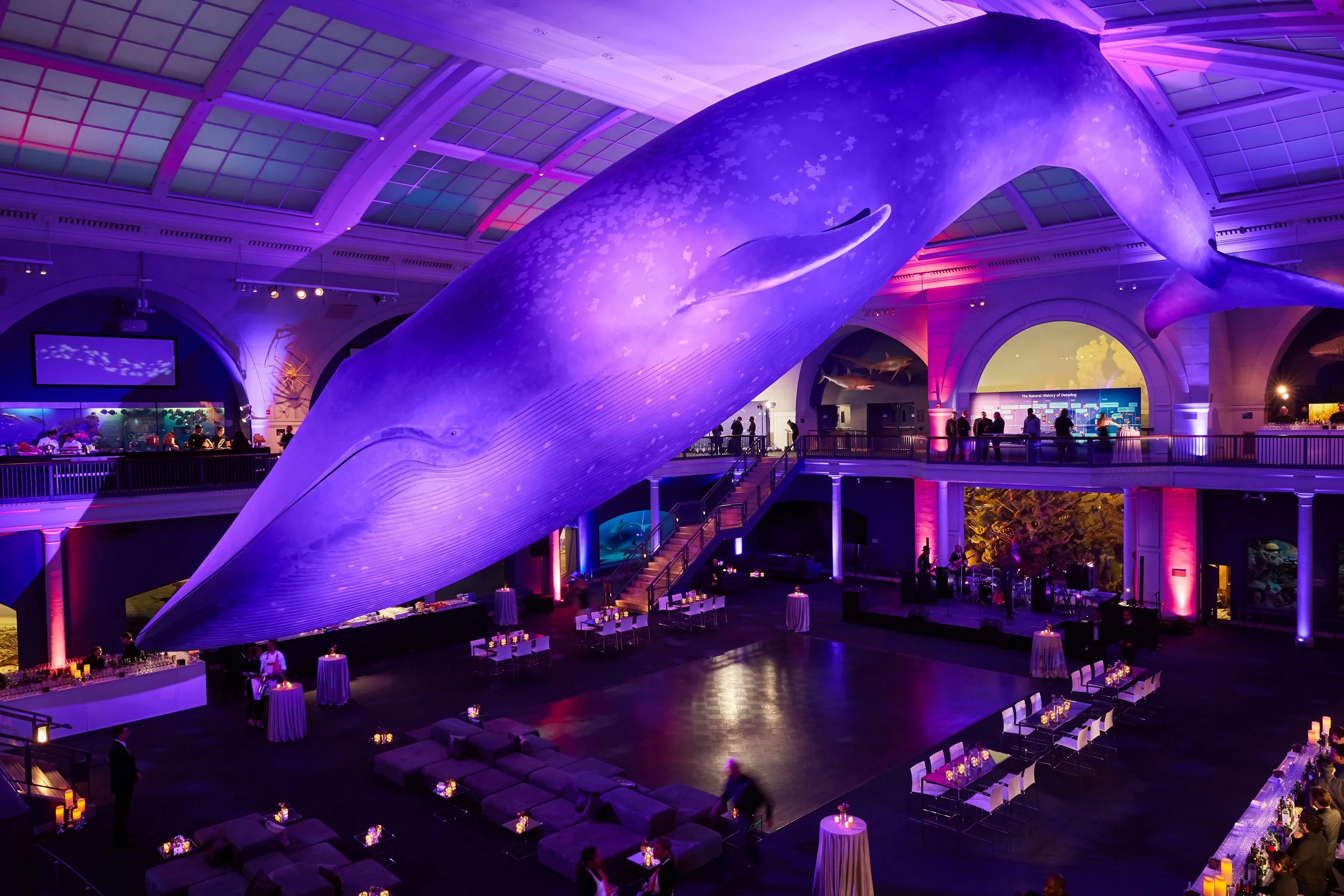 cocktail room lounge AMNH whale room7.jpg