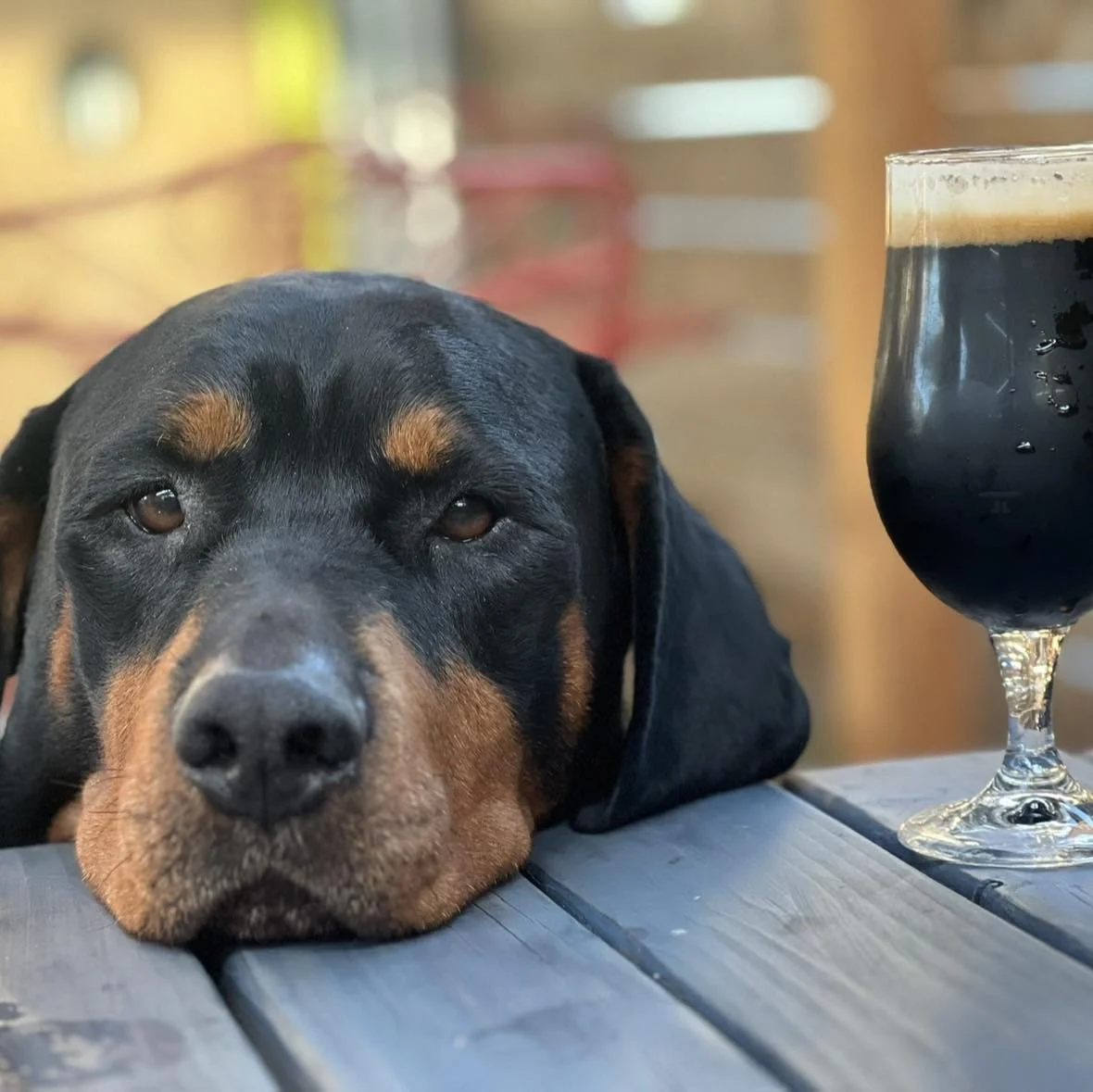 Happy Hour Eddie Original