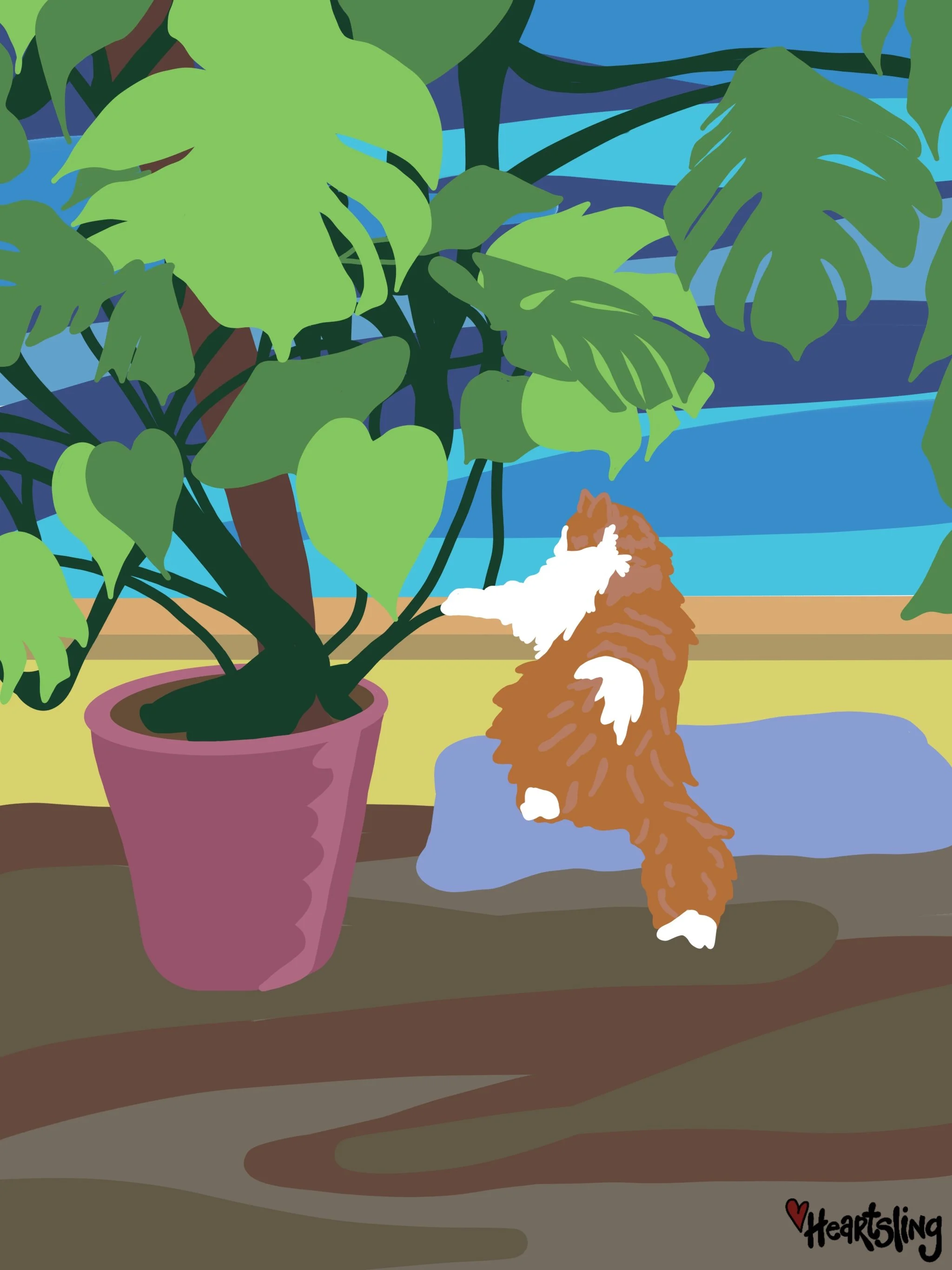 Little Lord Fauntleroy