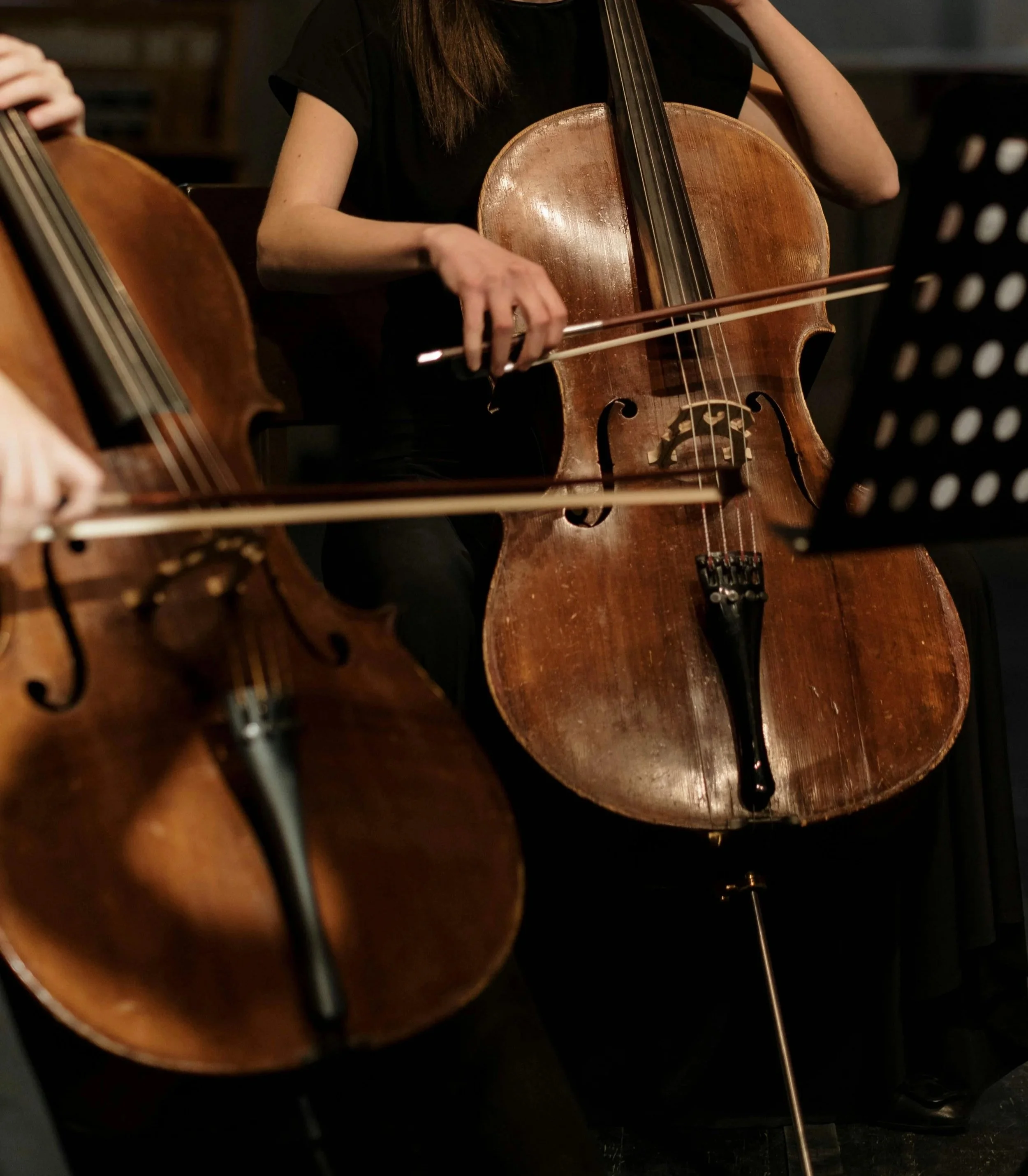 Musicians playing cellos in an orchestra, focusing on their hands and the instrument.