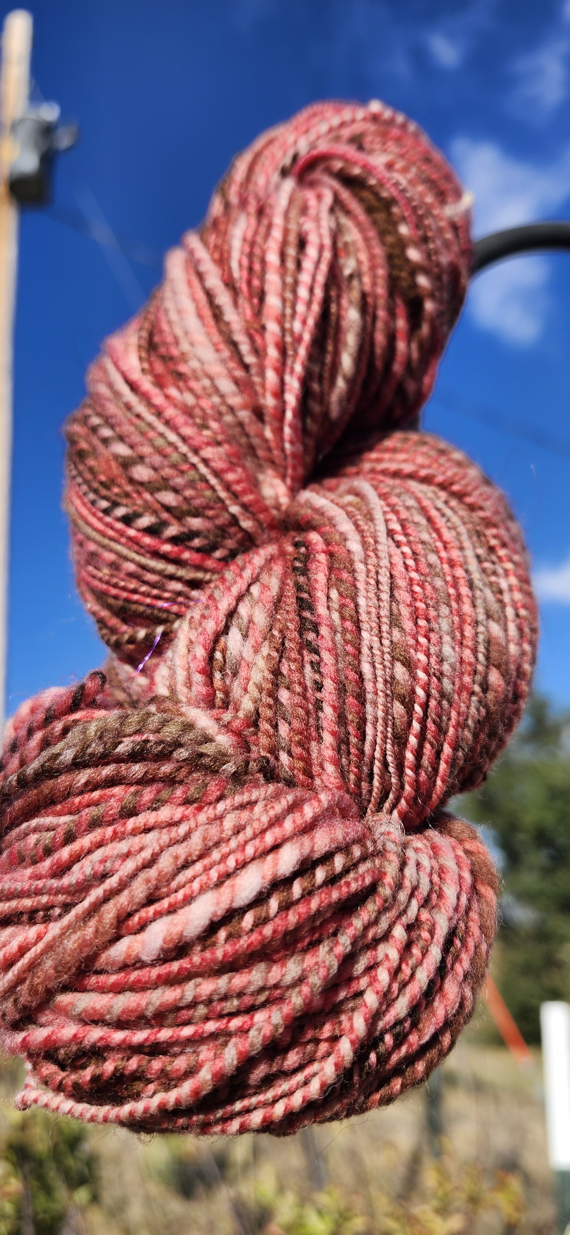 20260906_084226.jpg