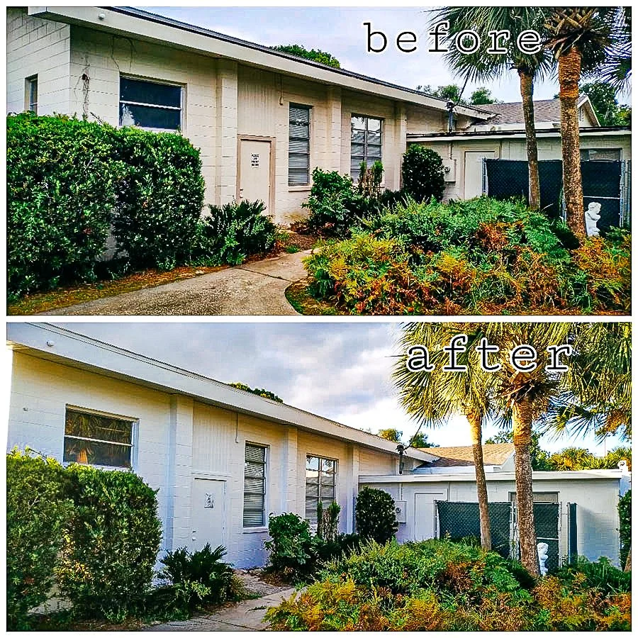 Before and after photos of a white house exterior with bushes and palm trees, showing a cleaned and painted look in the after photo.