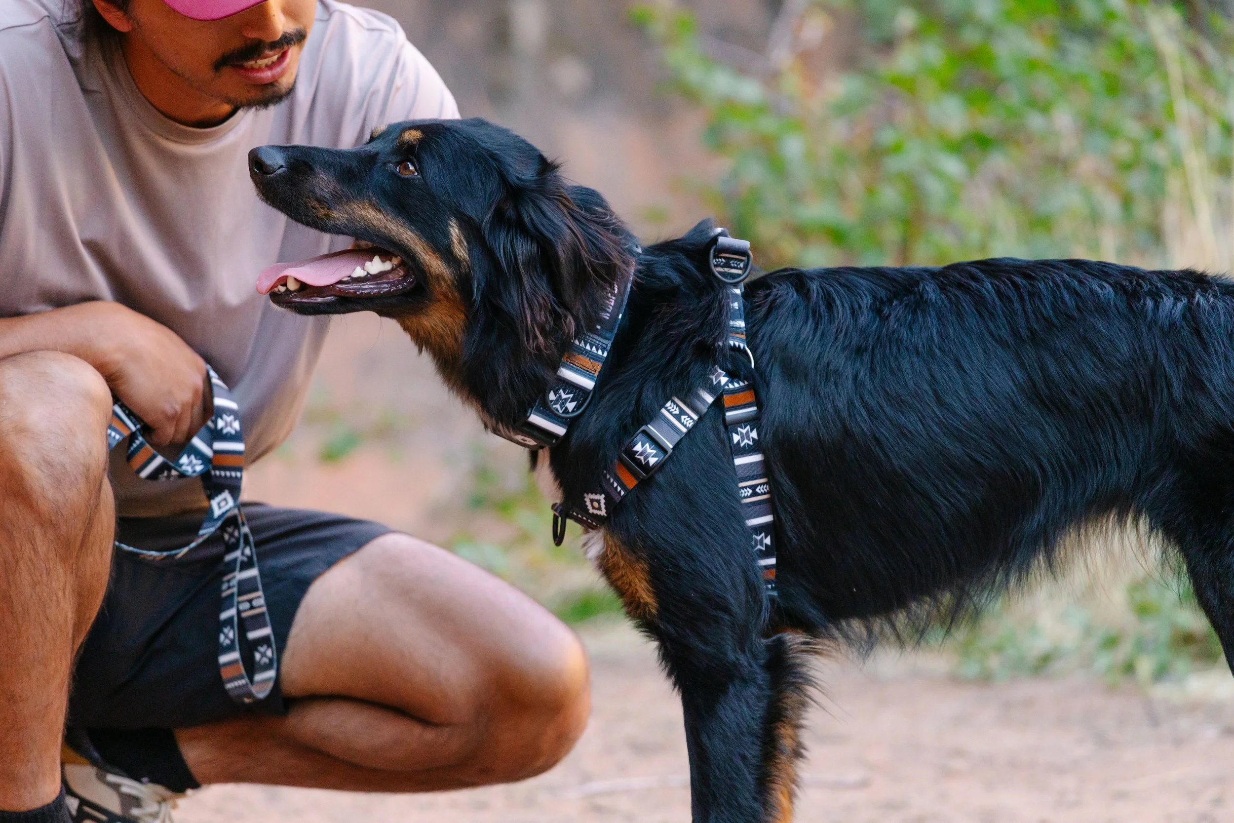 p0000579-006_wg_pet_harness_newmoon_f26_798A2308_09-2025-RedLedges_LFSTL.jpg