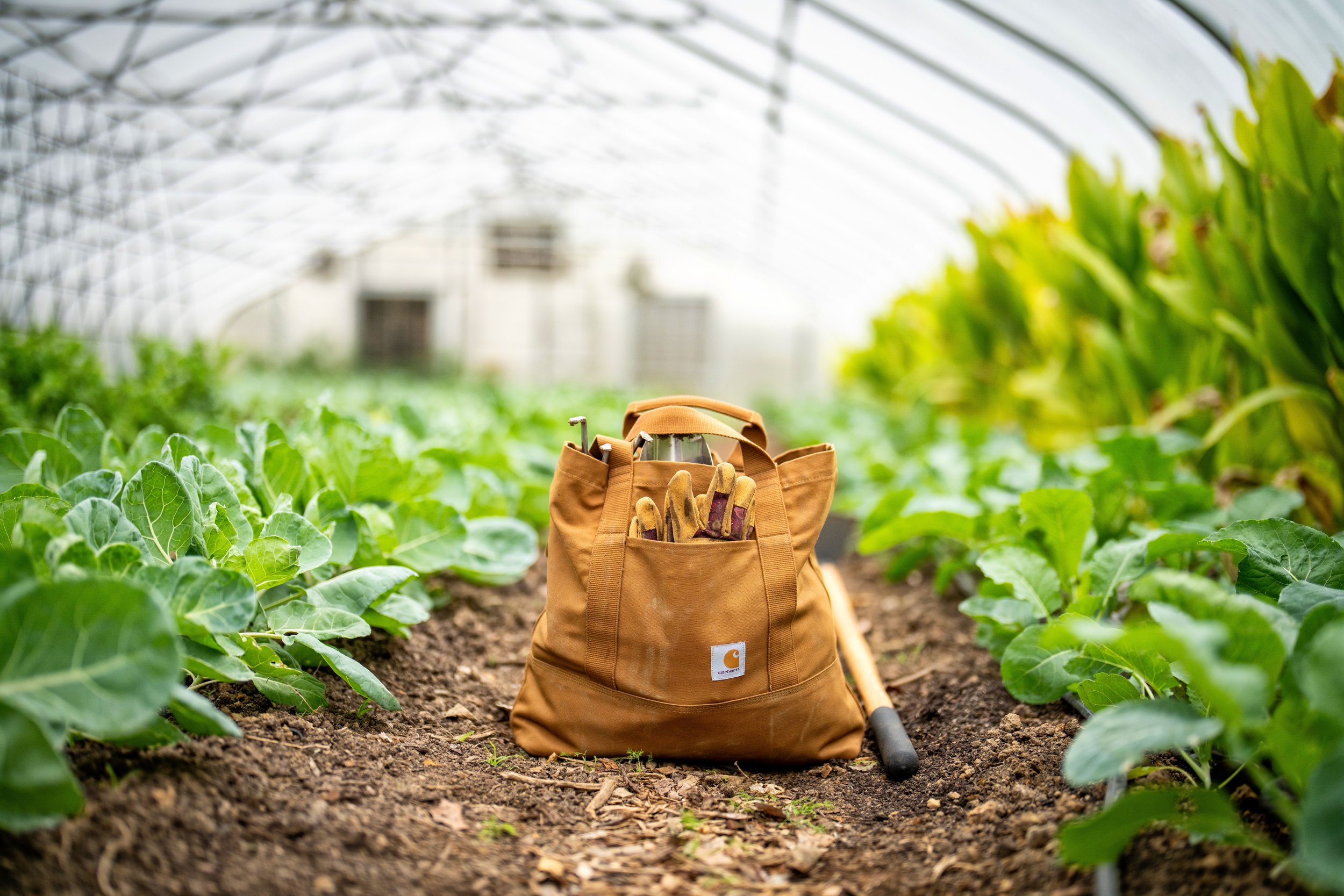 Carhartt gardening bag on the ground of a greenhouse