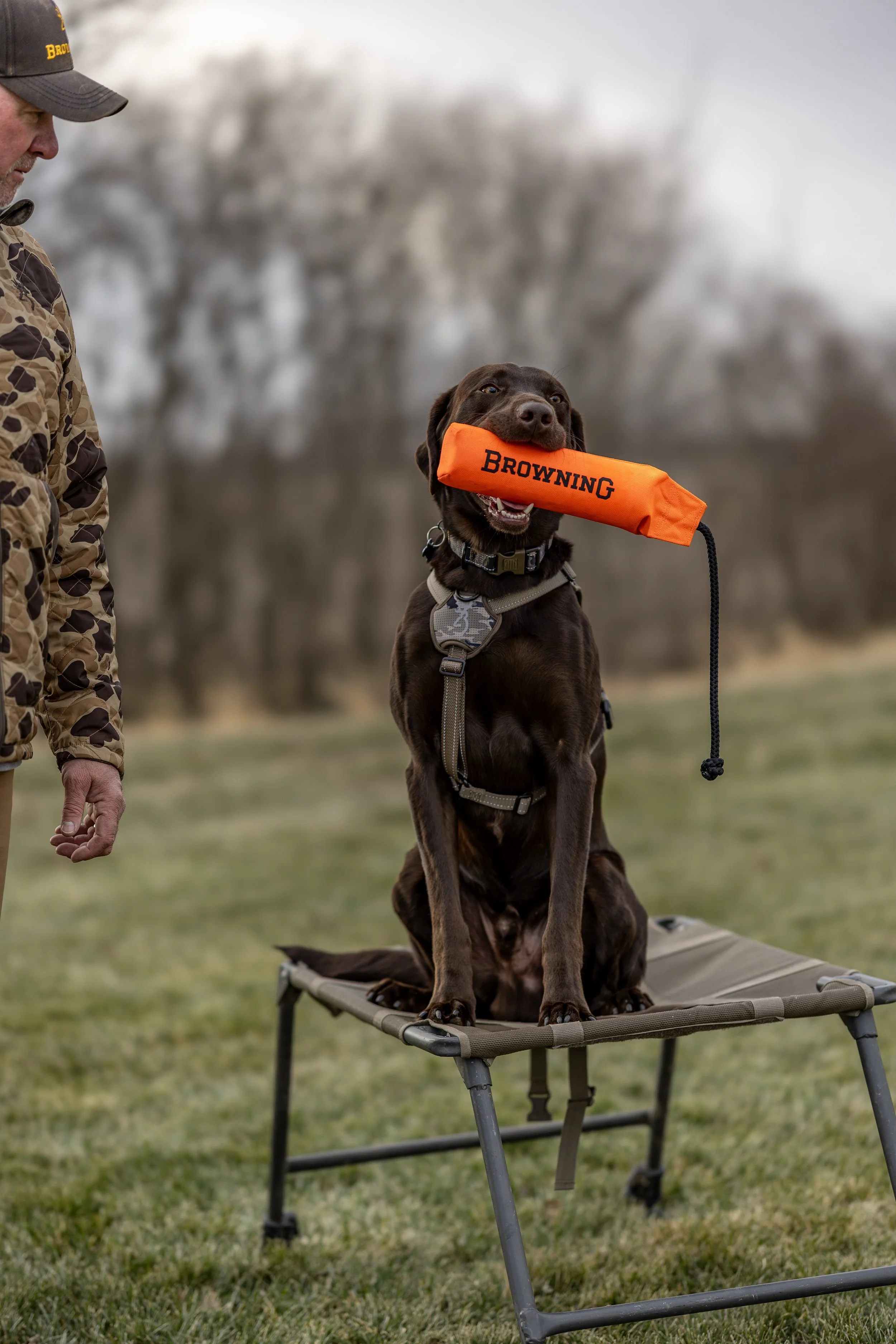 Browning