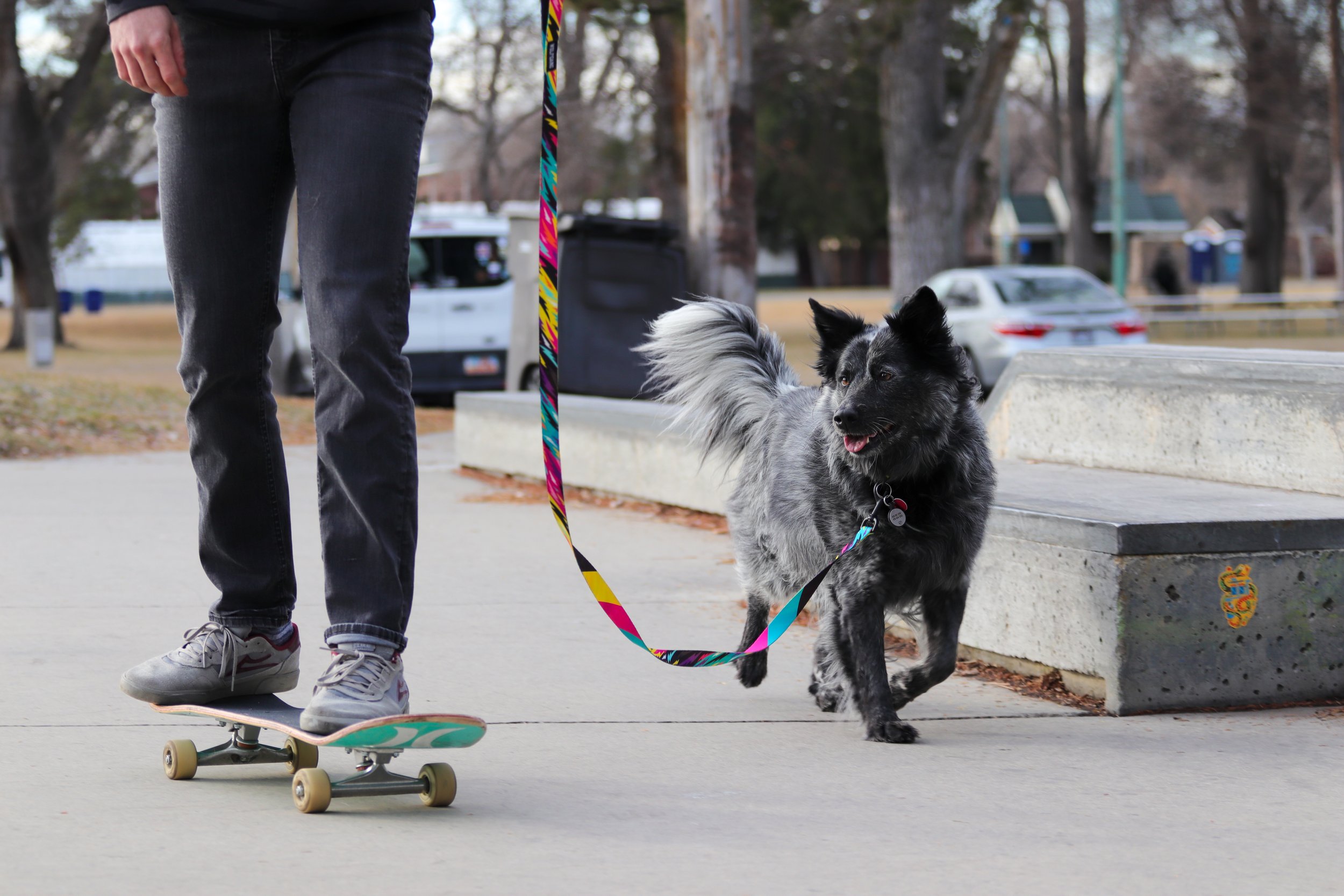 WG_Skate-10.jpg