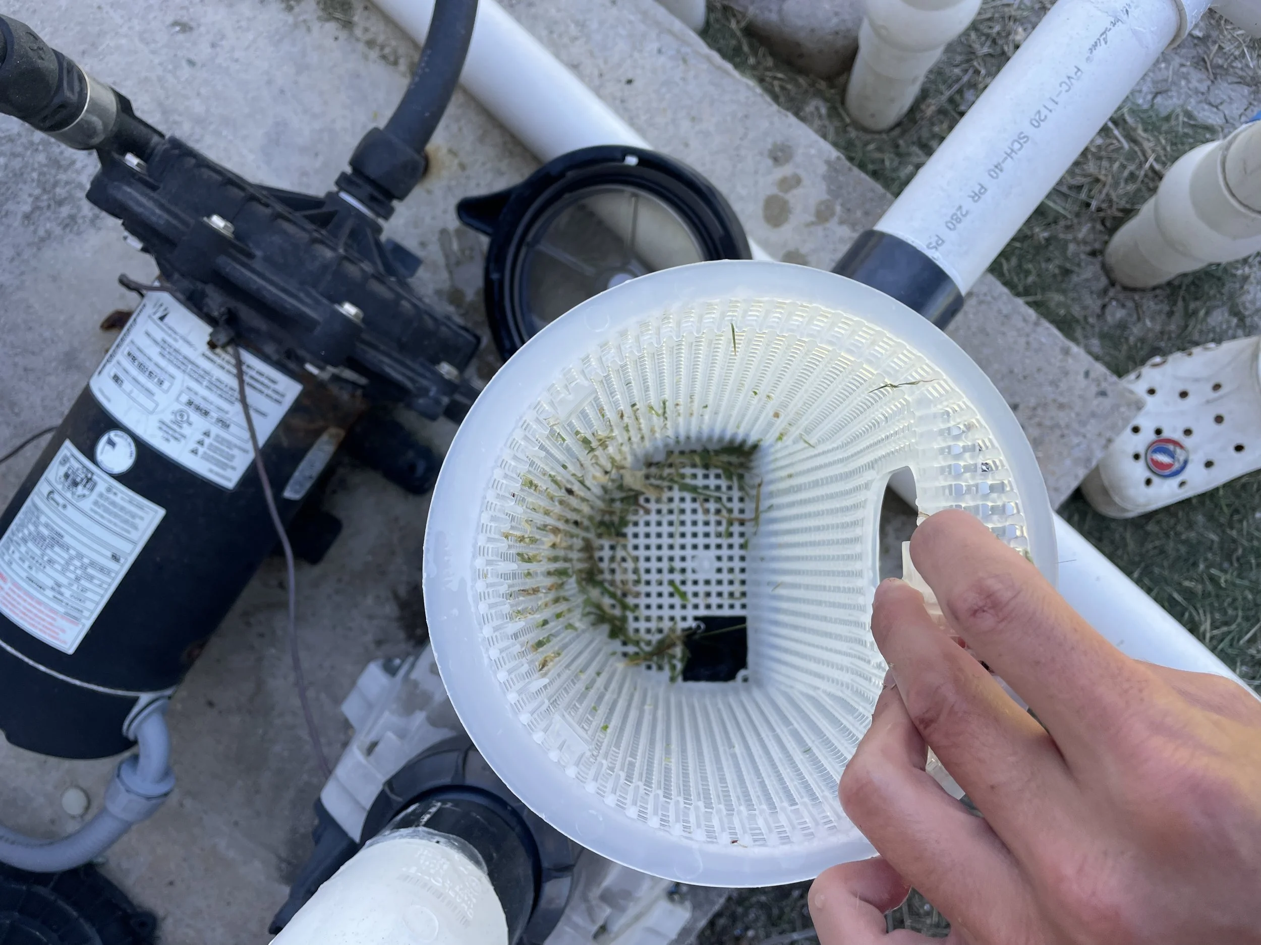 A person holding a white cylindrical filter with green algae or debris inside, over a pool pump and piping system.