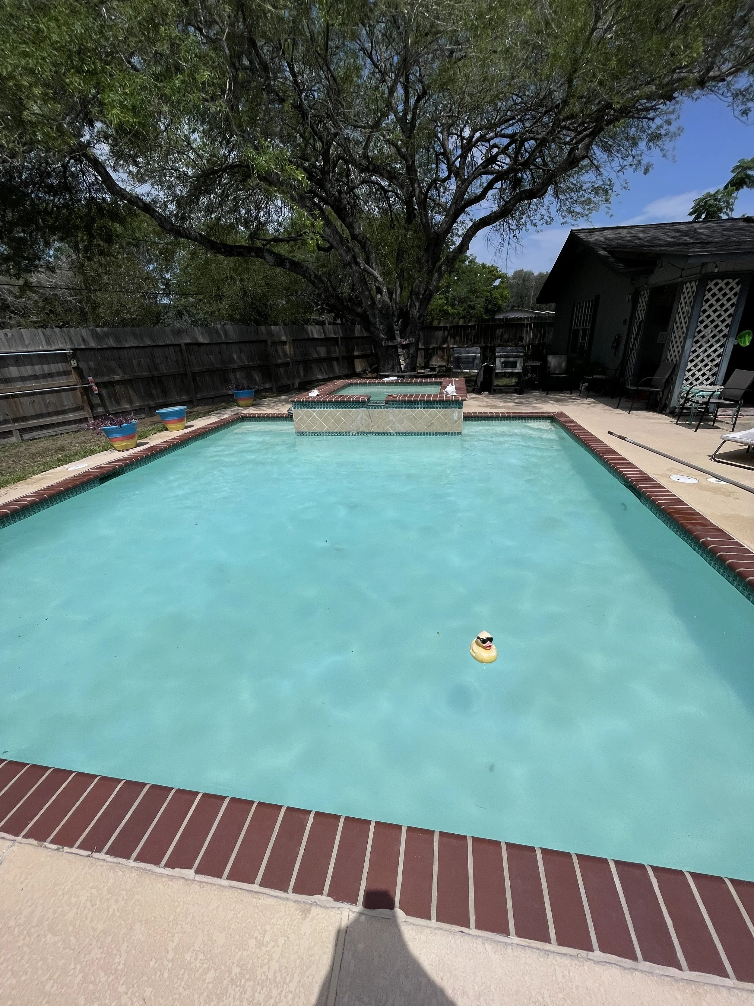 Residential backyard pool with a duck-shaped float, surrounded by a brick border, a tree providing shade, and outdoor seating.