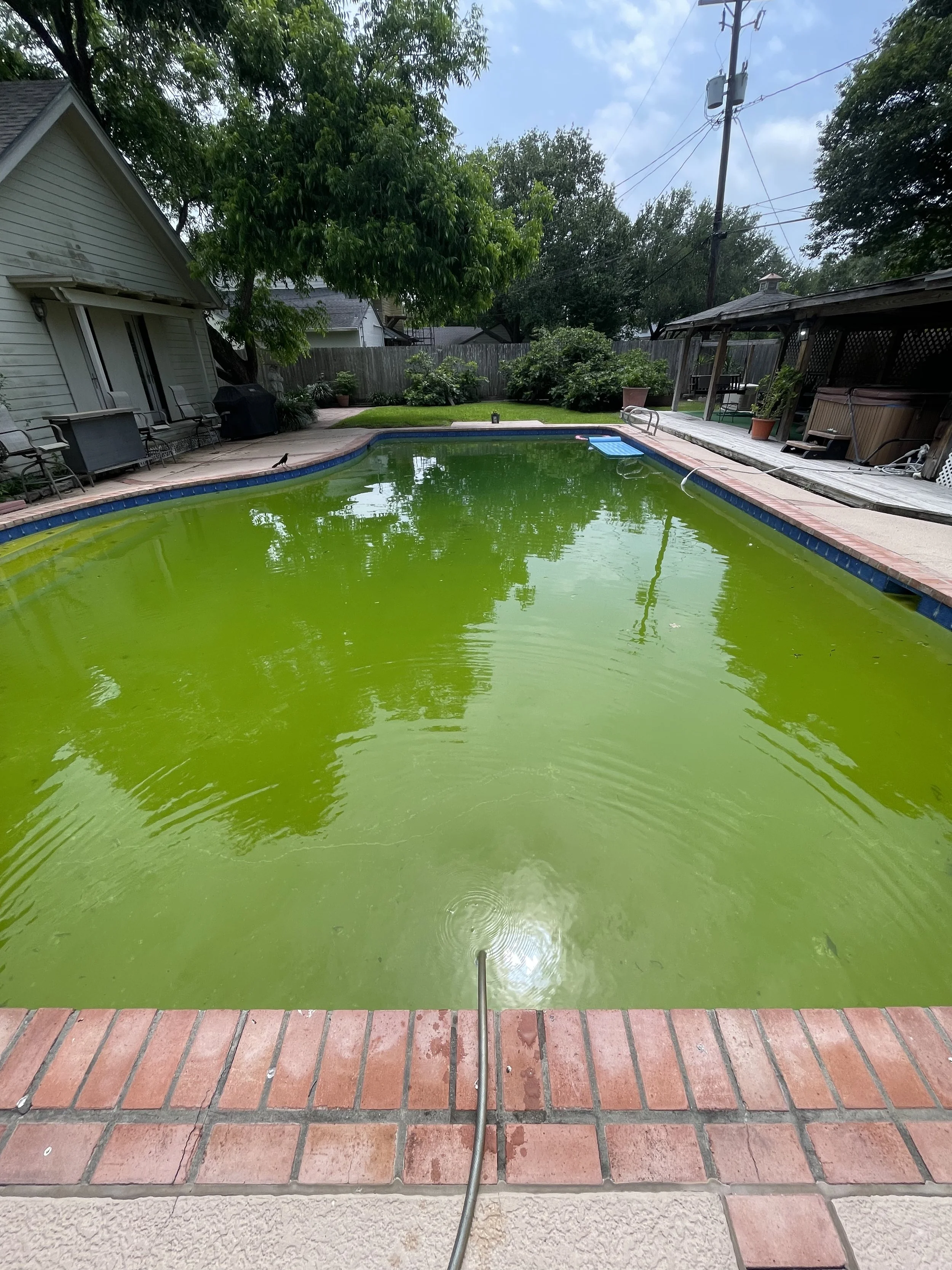 A backyard swimming pool with green algae, surrounded by a brick patio, trees, and a wooden fence.