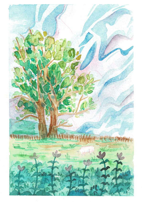 Watercolour landscape - old tree