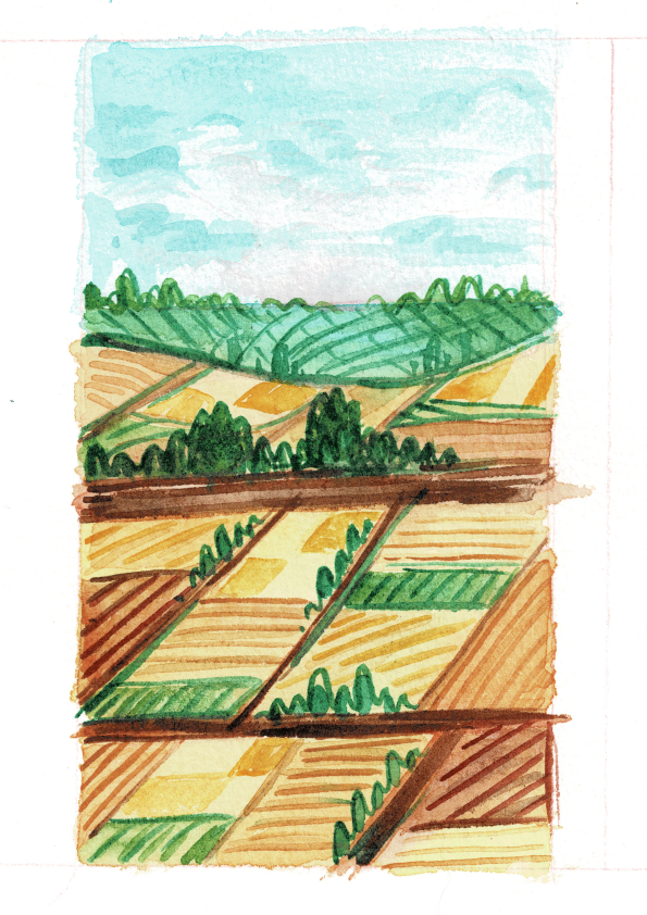 Watercolour landscape - golden fields