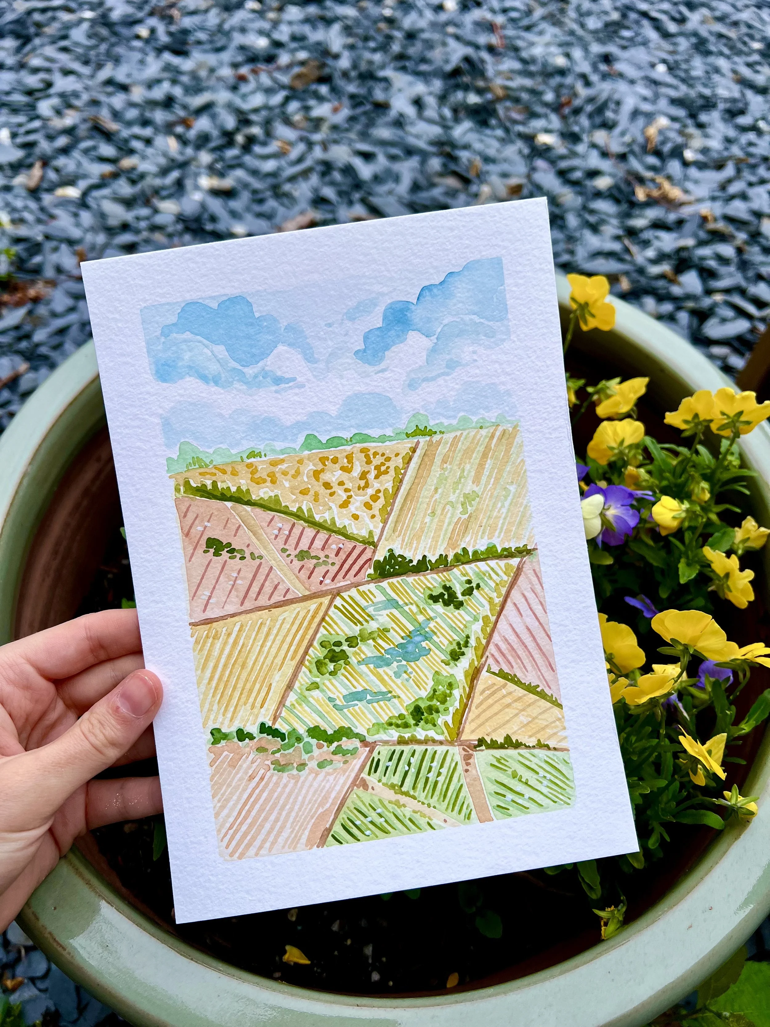 Farm fields