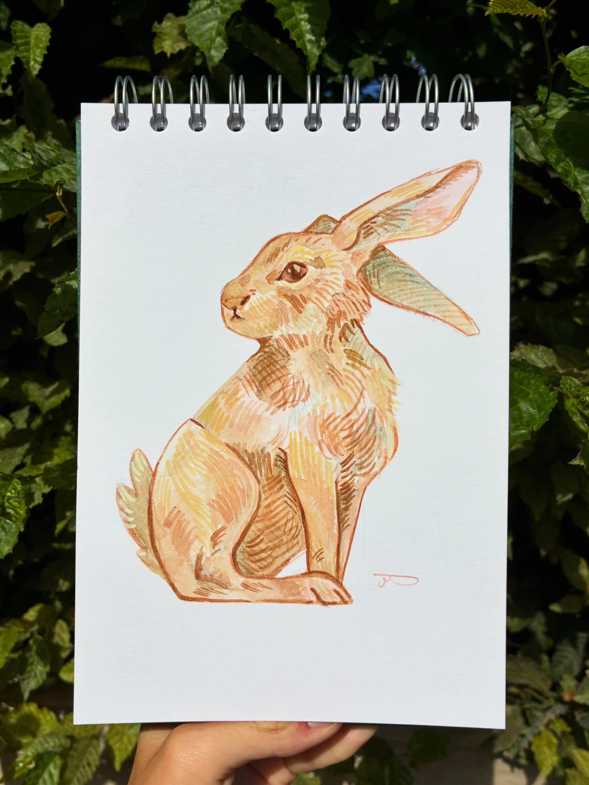 The Hare A5 painting (original)