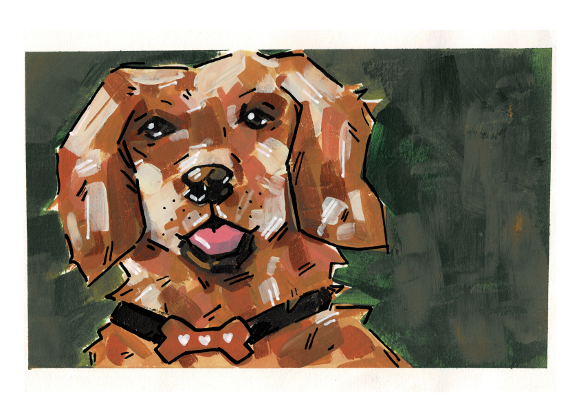 Acrylic - Golden dog