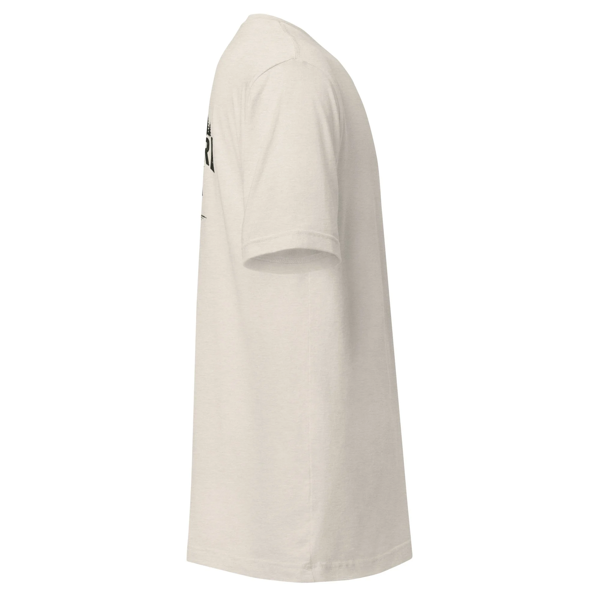 unisex-staple-t-shirt-heather-dust-right-6a9ed6646dd31.jpg