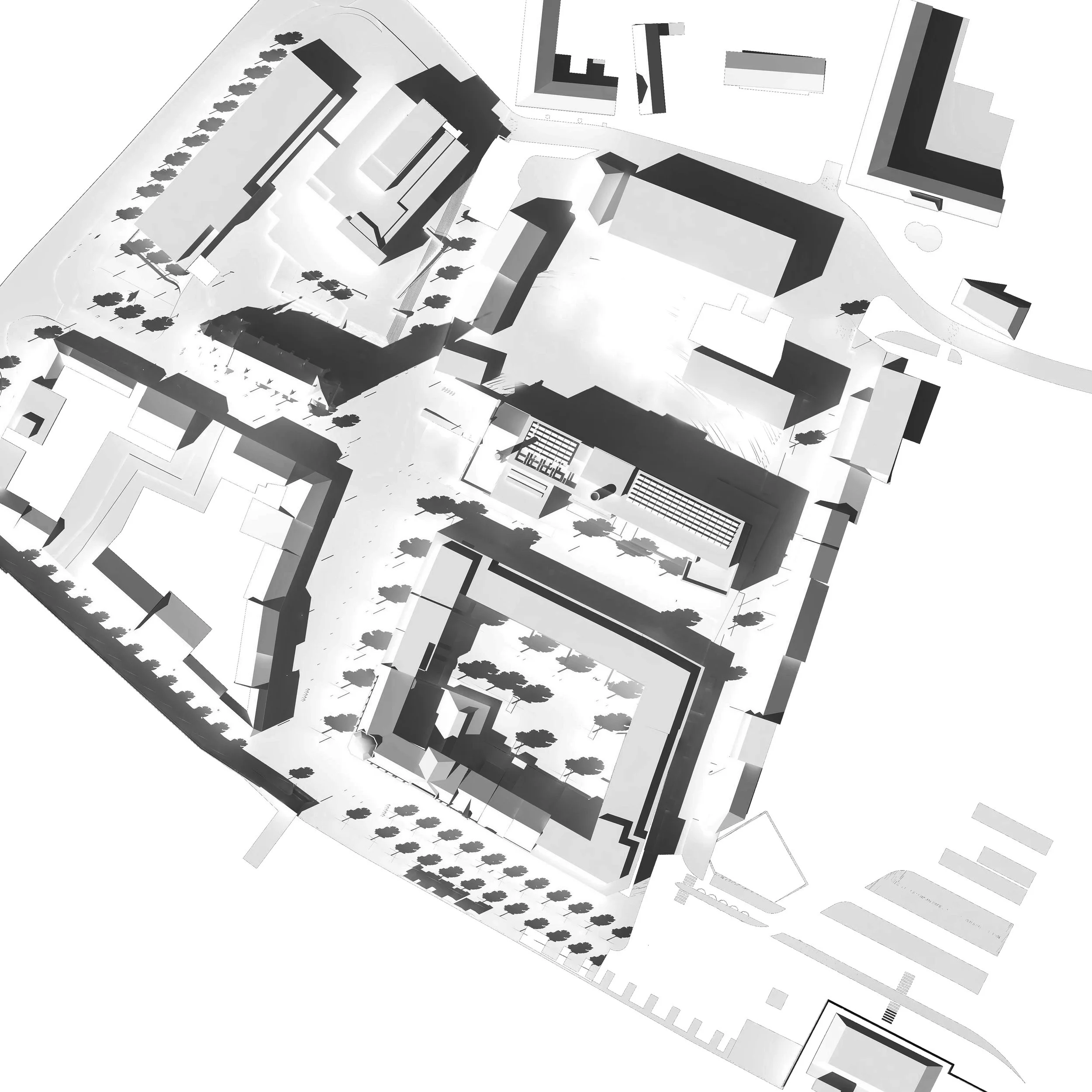 sadra copy.jpg