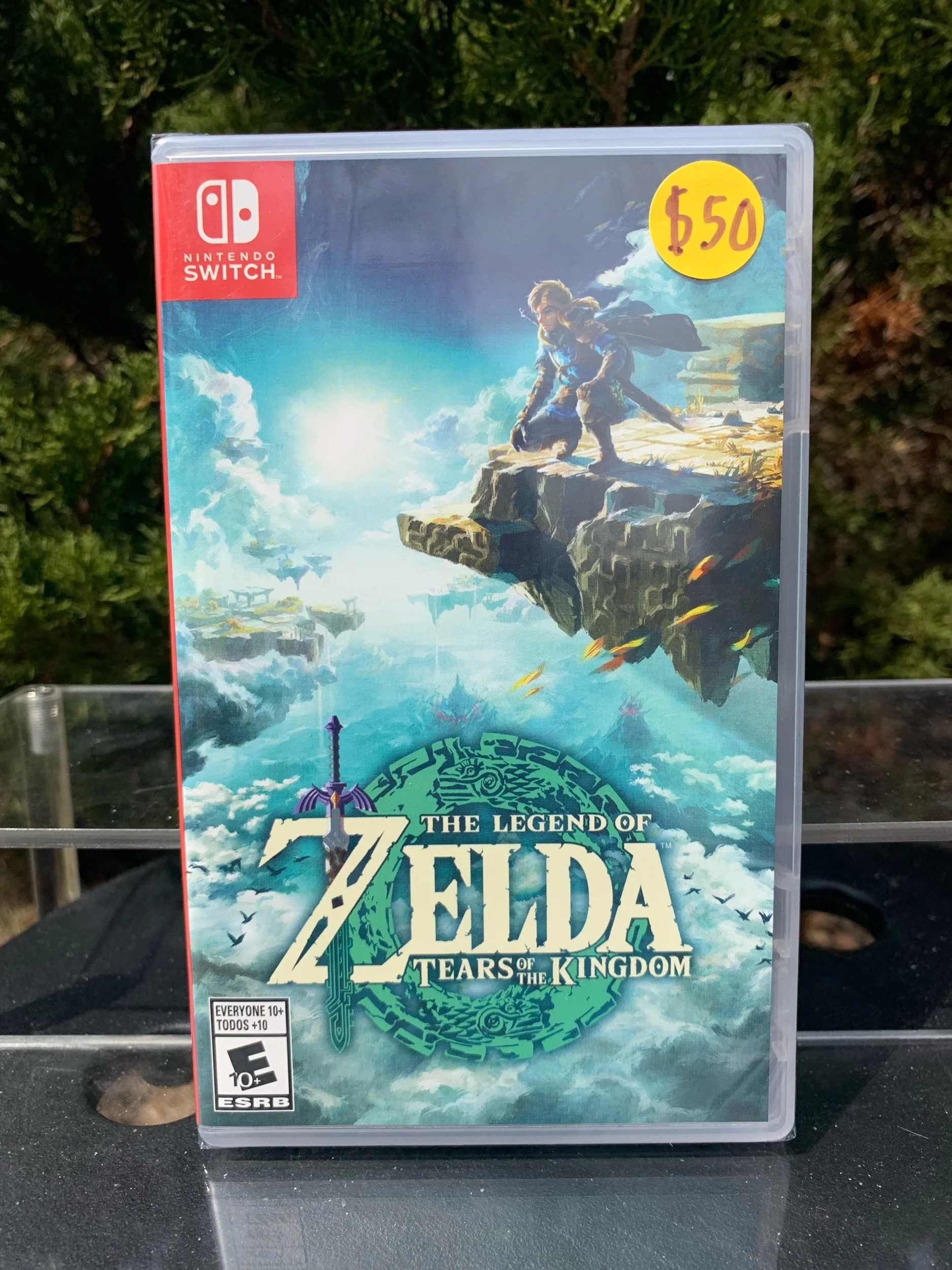 The Legend of Zelda: Tears of the Kingdom