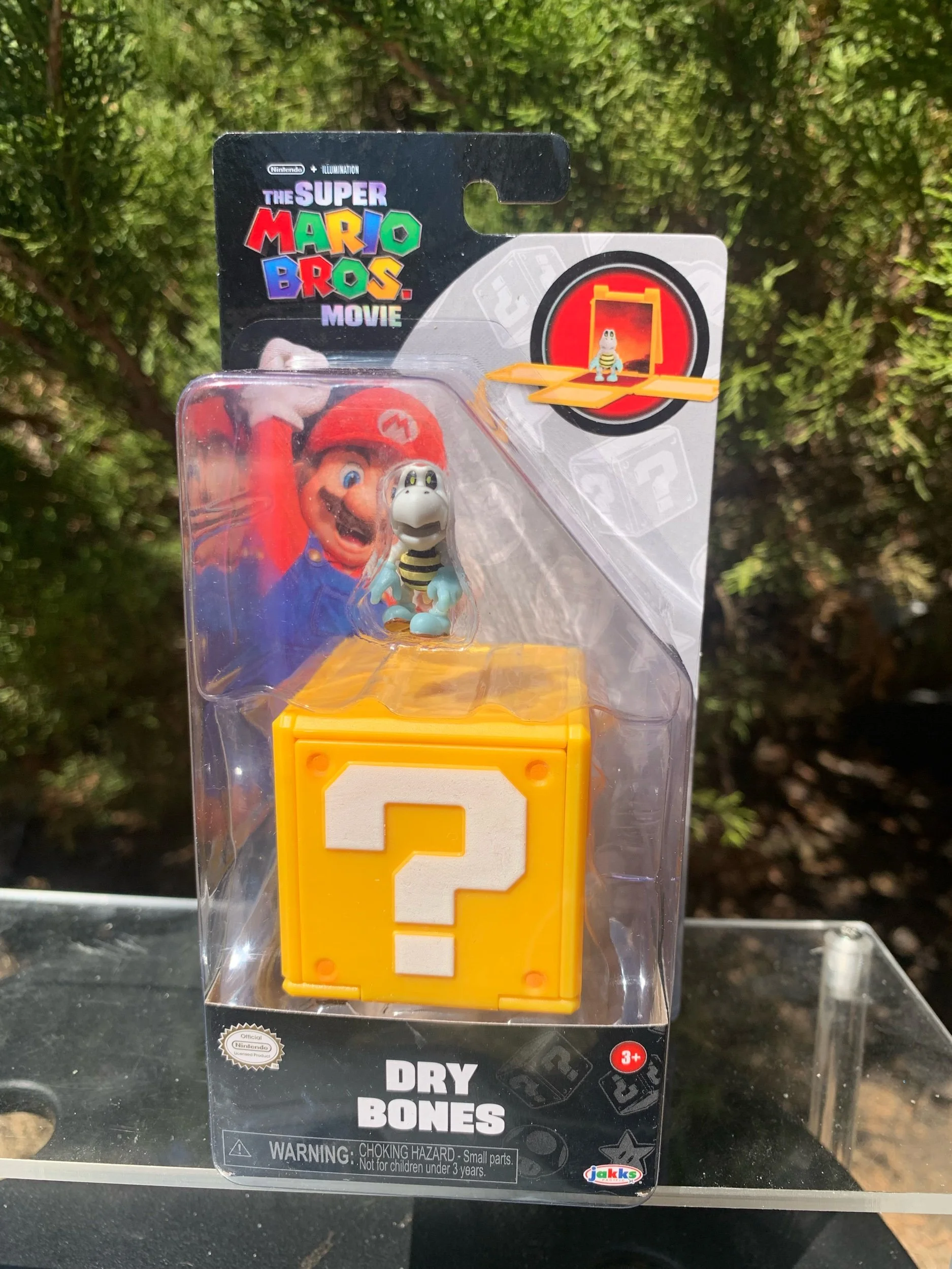 Dry Bones (Mario Movie)