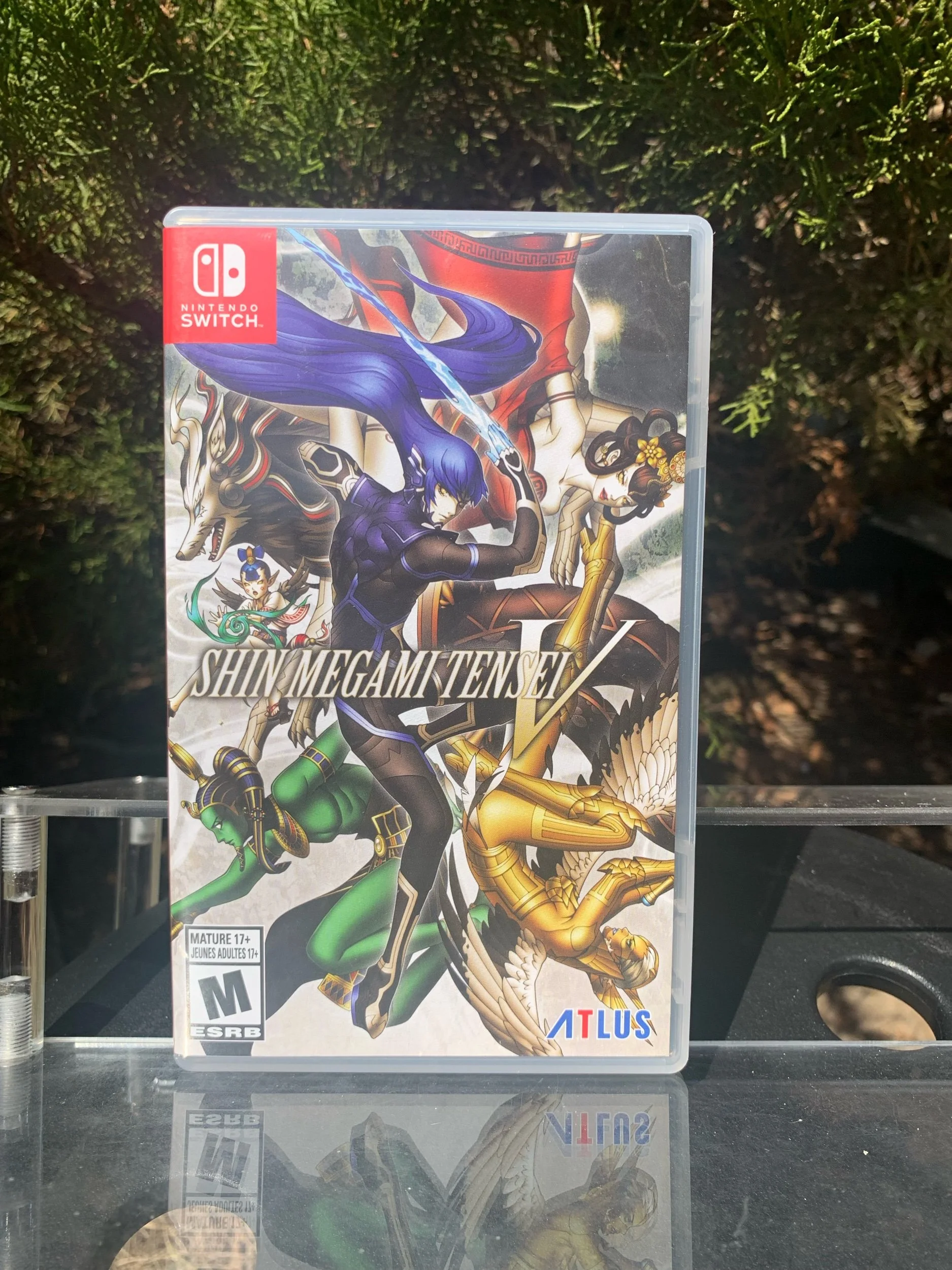 Shin Megami Tensei V