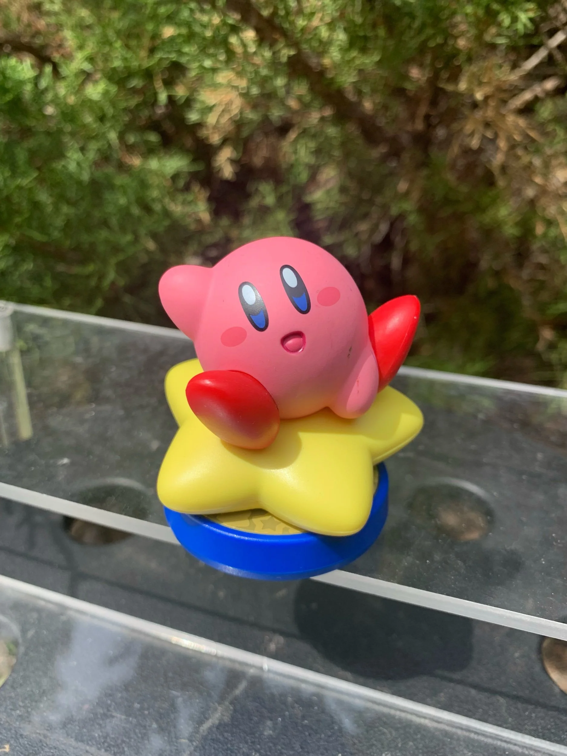 Kirby Warp Star (Kirby Series)