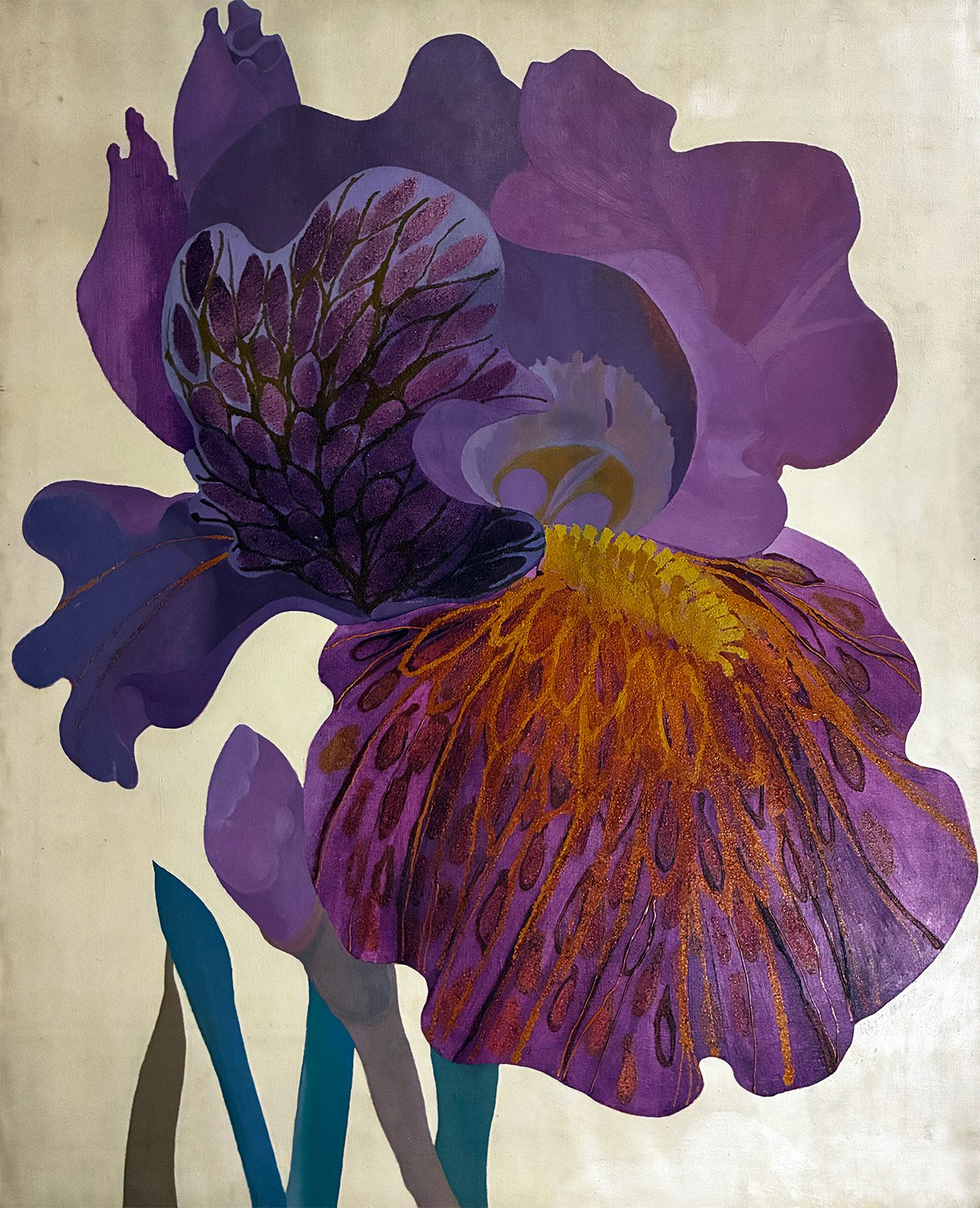 Iris 15