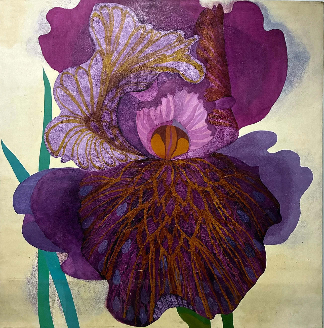 Iris 14