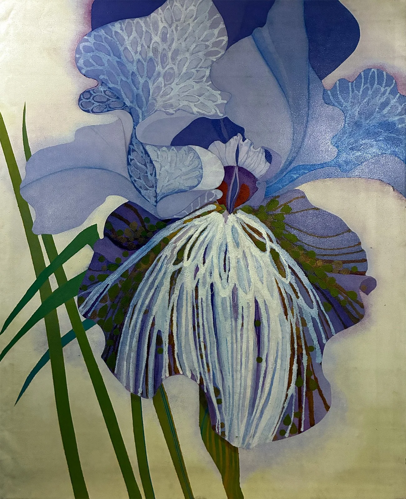 Iris 21