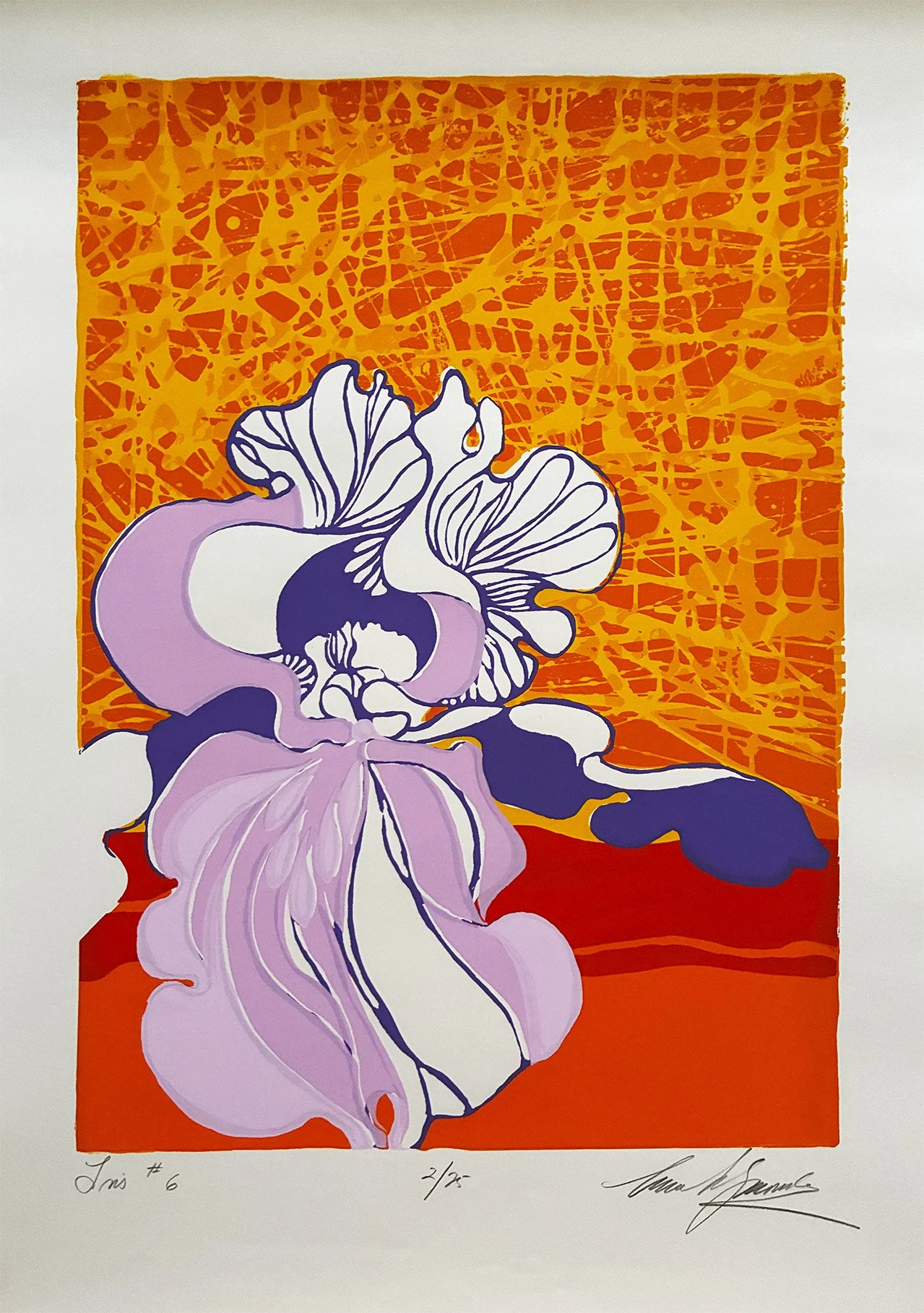 Iris #6