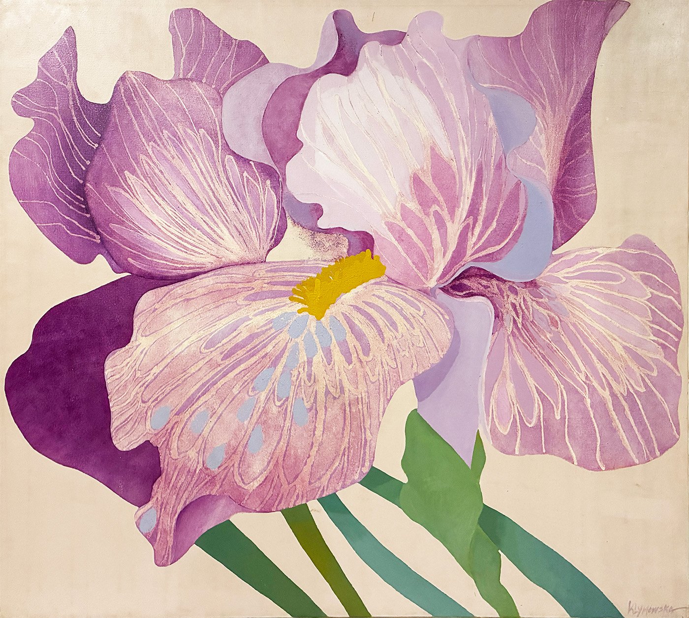 Iris 13