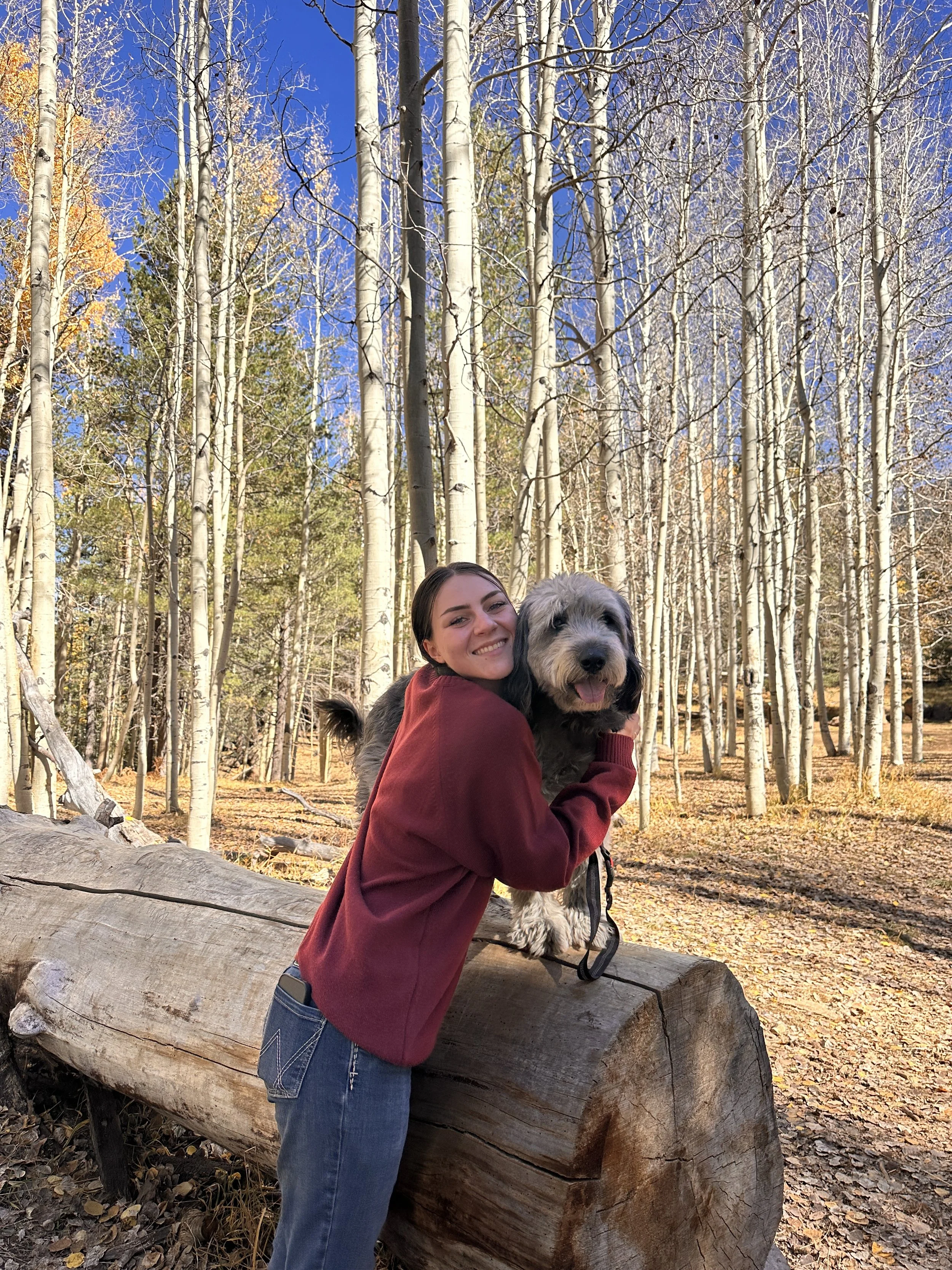 A woman hugging a large dog on a fallen tree in a forest with tall, leafless trees and a bright blue sky.